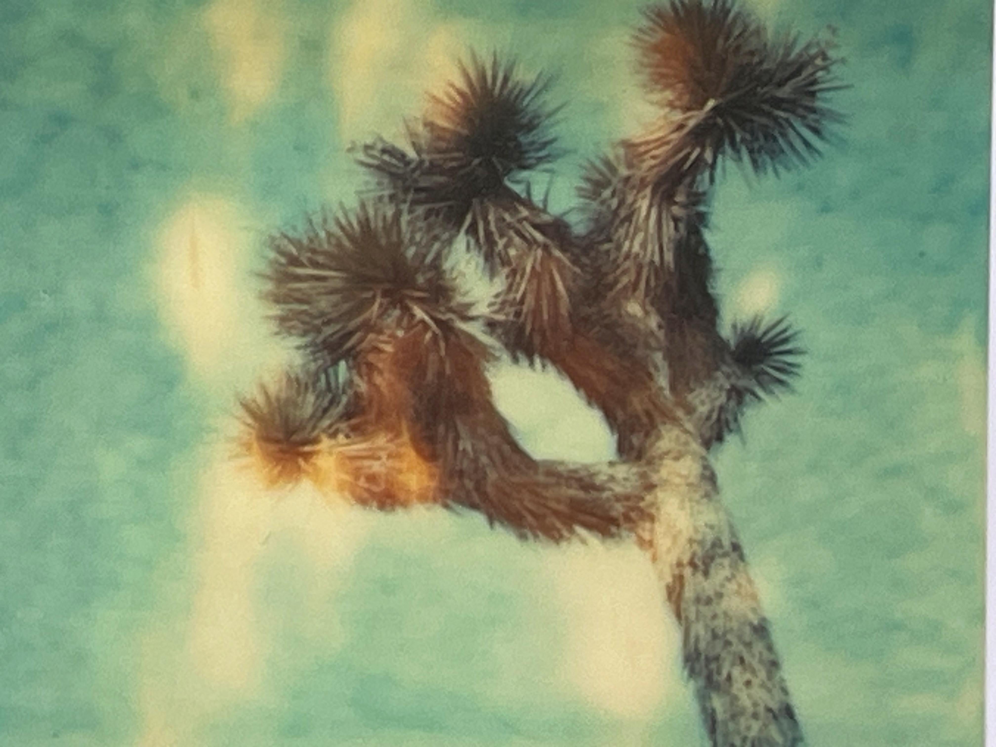 3 Polaroid di Stefanie Schneider di dimensioni illimitate 