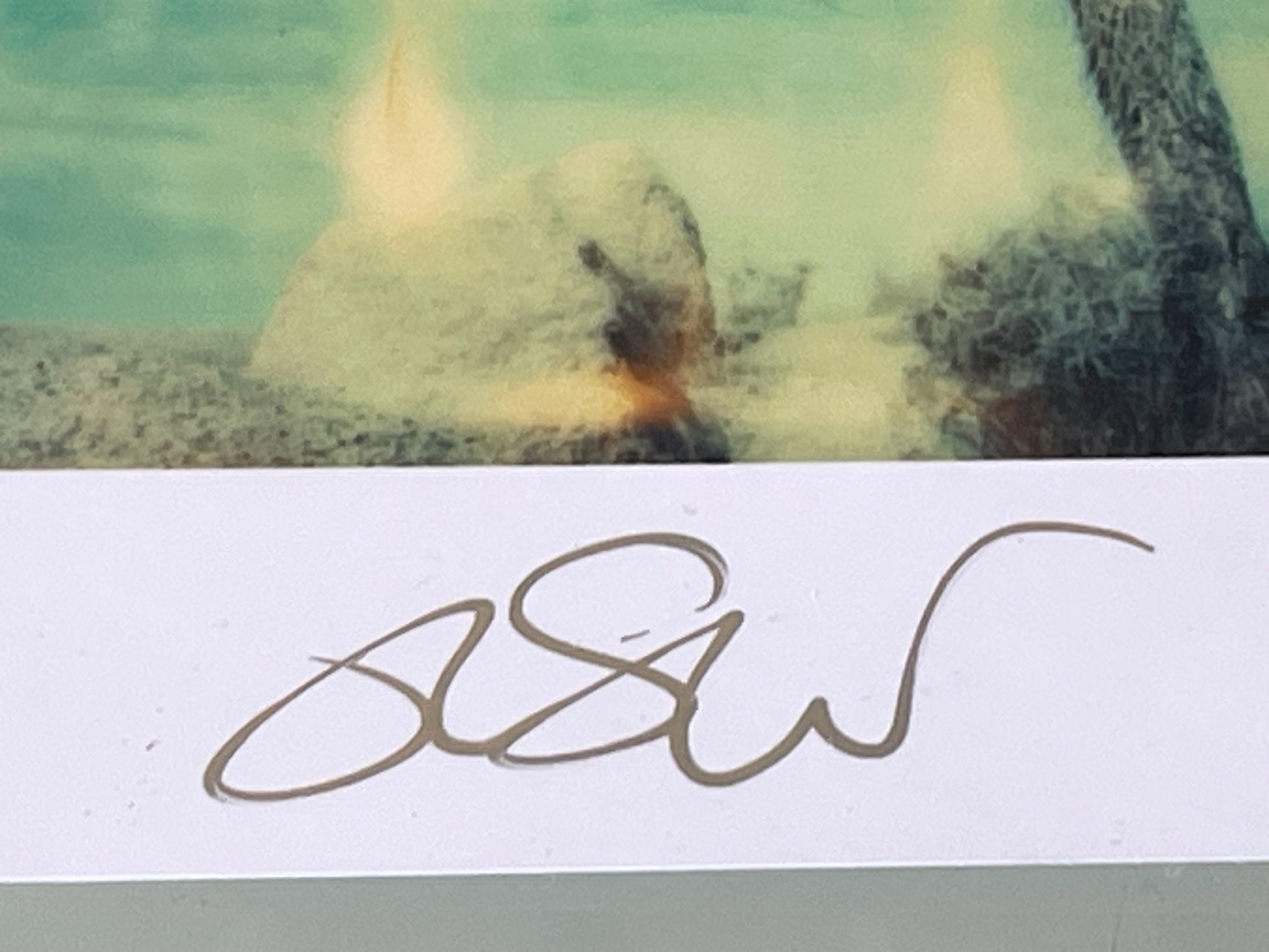 3 Polaroid di Stefanie Schneider di dimensioni illimitate 