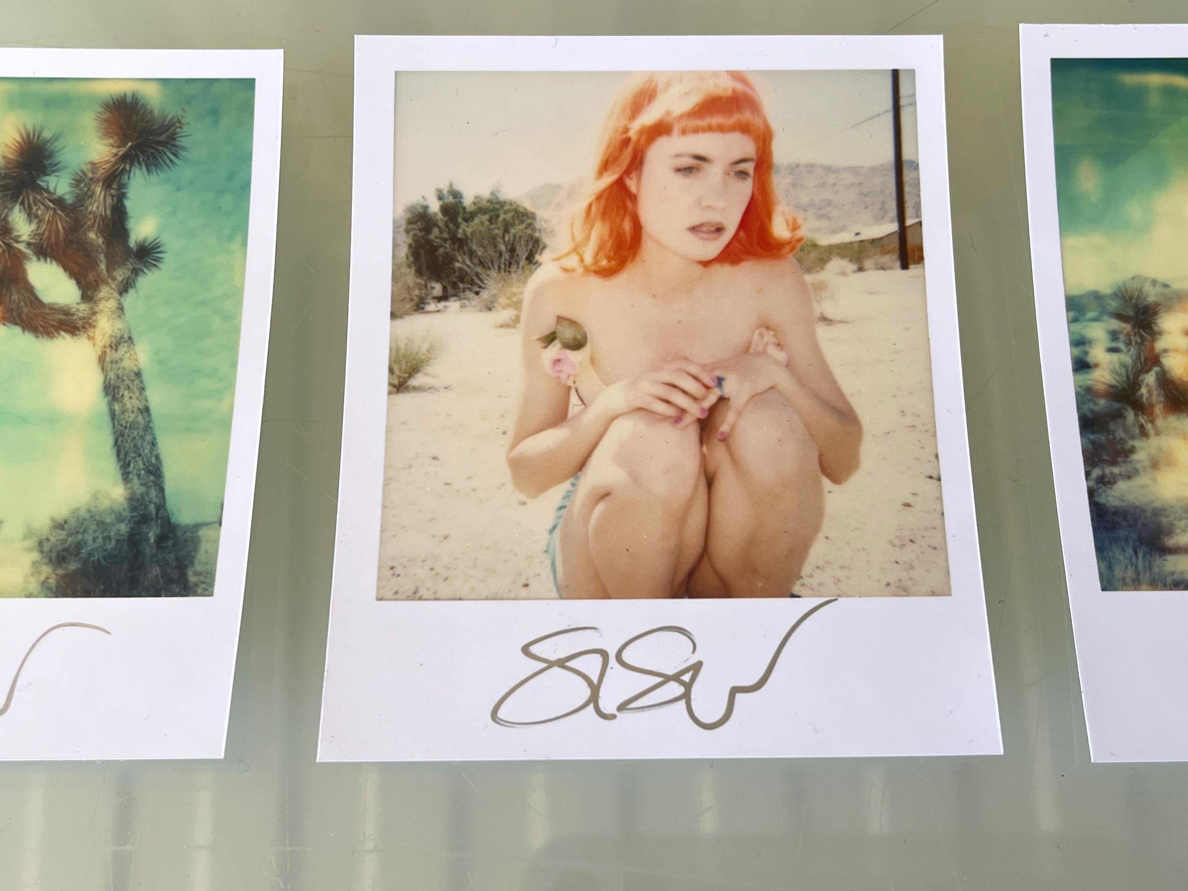3 Stefanie Schneider Polaroid sized unlimited Minis 'Radha Mind Screen' - signed For Sale 4