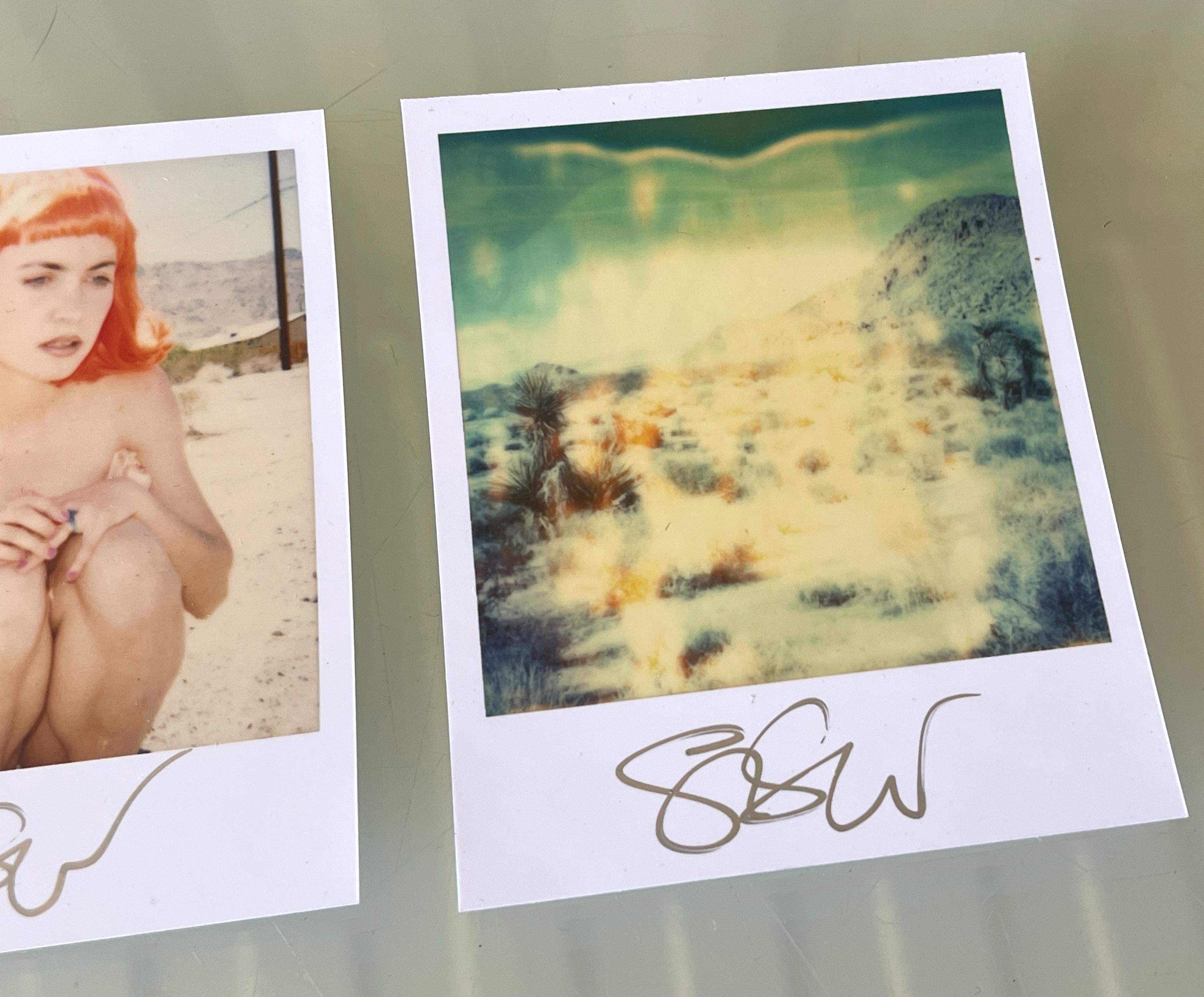 3 Stefanie Schneider Polaroid sized unlimited Minis 'Radha Mind Screen' - signed For Sale 7