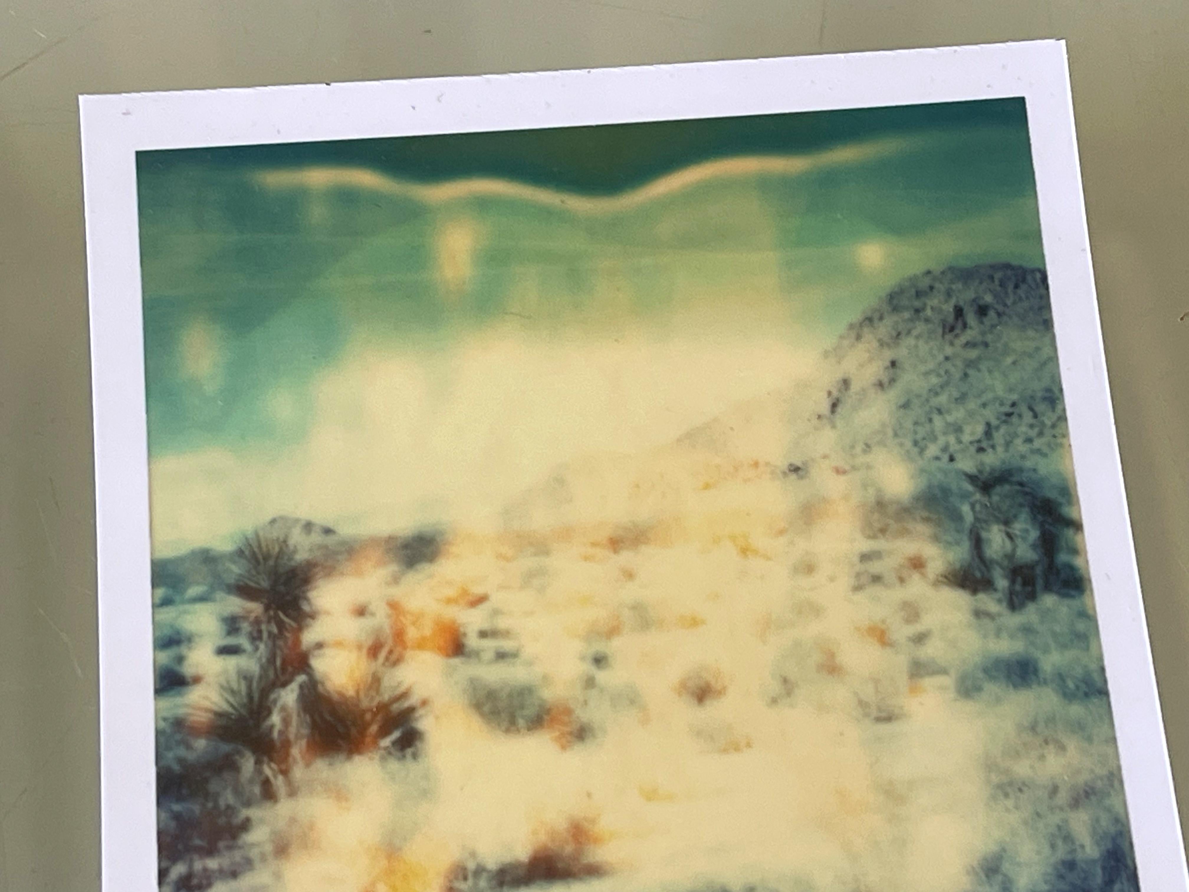 3 Stefanie Schneider Polaroid sized unlimited Minis 'Radha Mind Screen' - signed For Sale 8