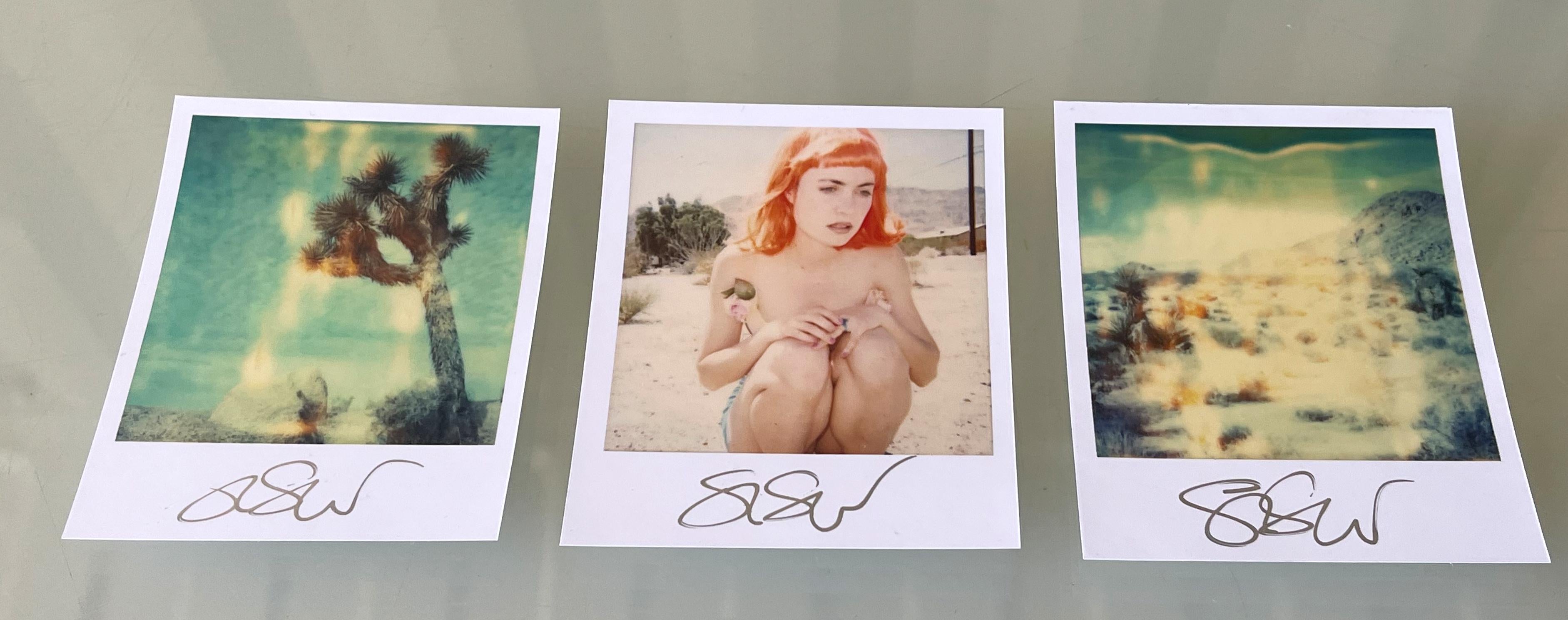 3 Stefanie Schneider Polaroid-sized unlimited Minis 
'Radha Mind Screen' - 1999 - triptych

signed in front, not mounted. 
3 Digital Color Photographs based on the 3 Polaroids. 
10.7 x 8.8cm (Image 7.9x7.7cm) each, 10.7 x 28.2cm installed.