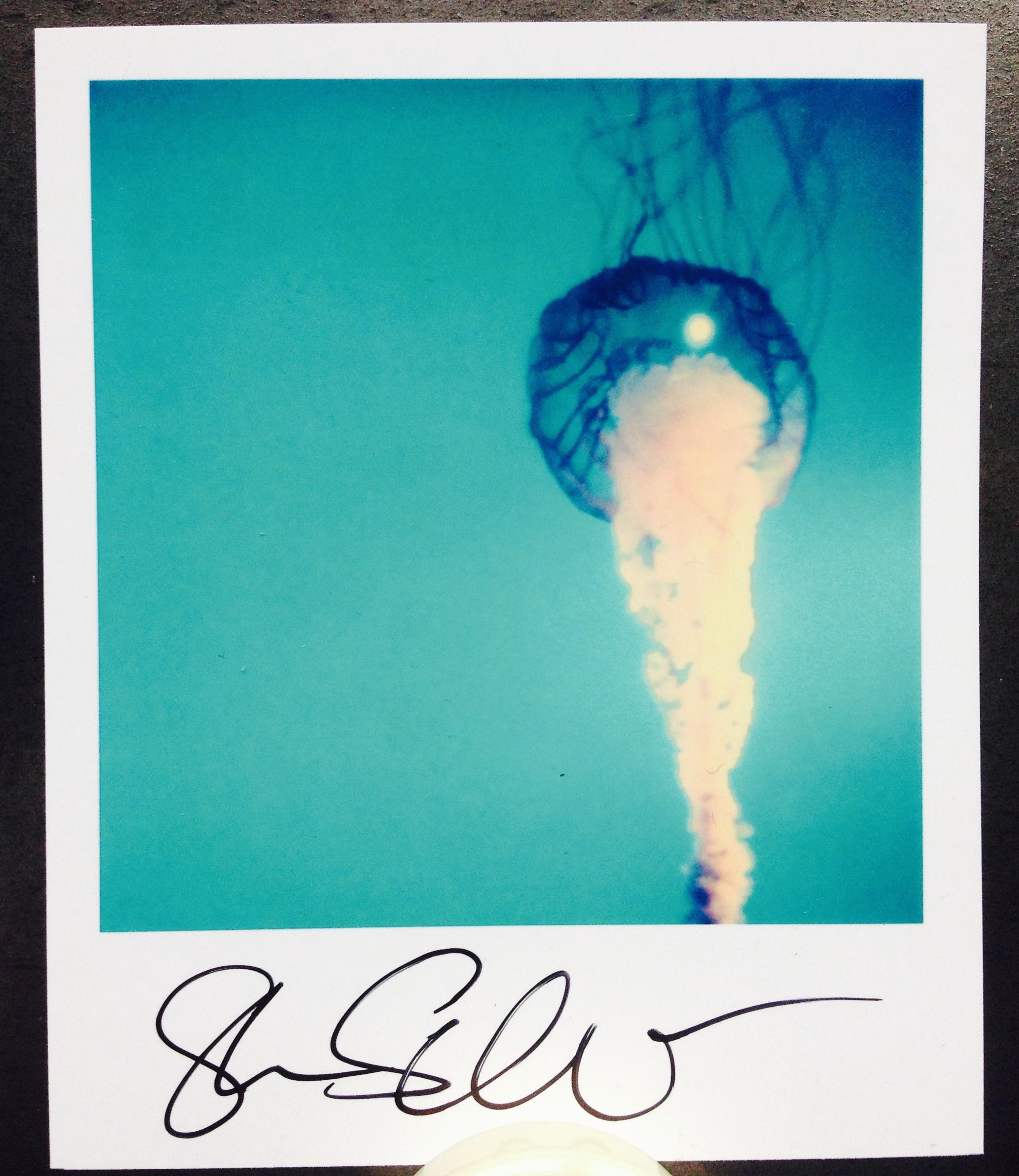 3 Stefanie Schneider Minis ilimitadas tamaño Polaroid 