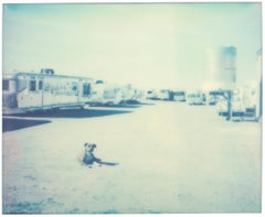 A lonely Dog (American Depression) - Contemporary, Polaroid, Landscape