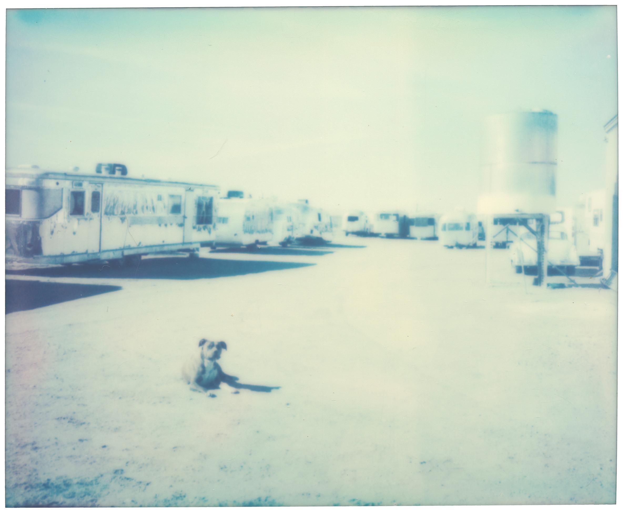 Stefanie Schneider Color Photograph - A lonely Dog (American Depression) - Contemporary, Polaroid, Landscape
