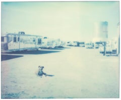 Un perro solitario (Depresión americana) - Contemporáneo, Polaroid, Paisaje