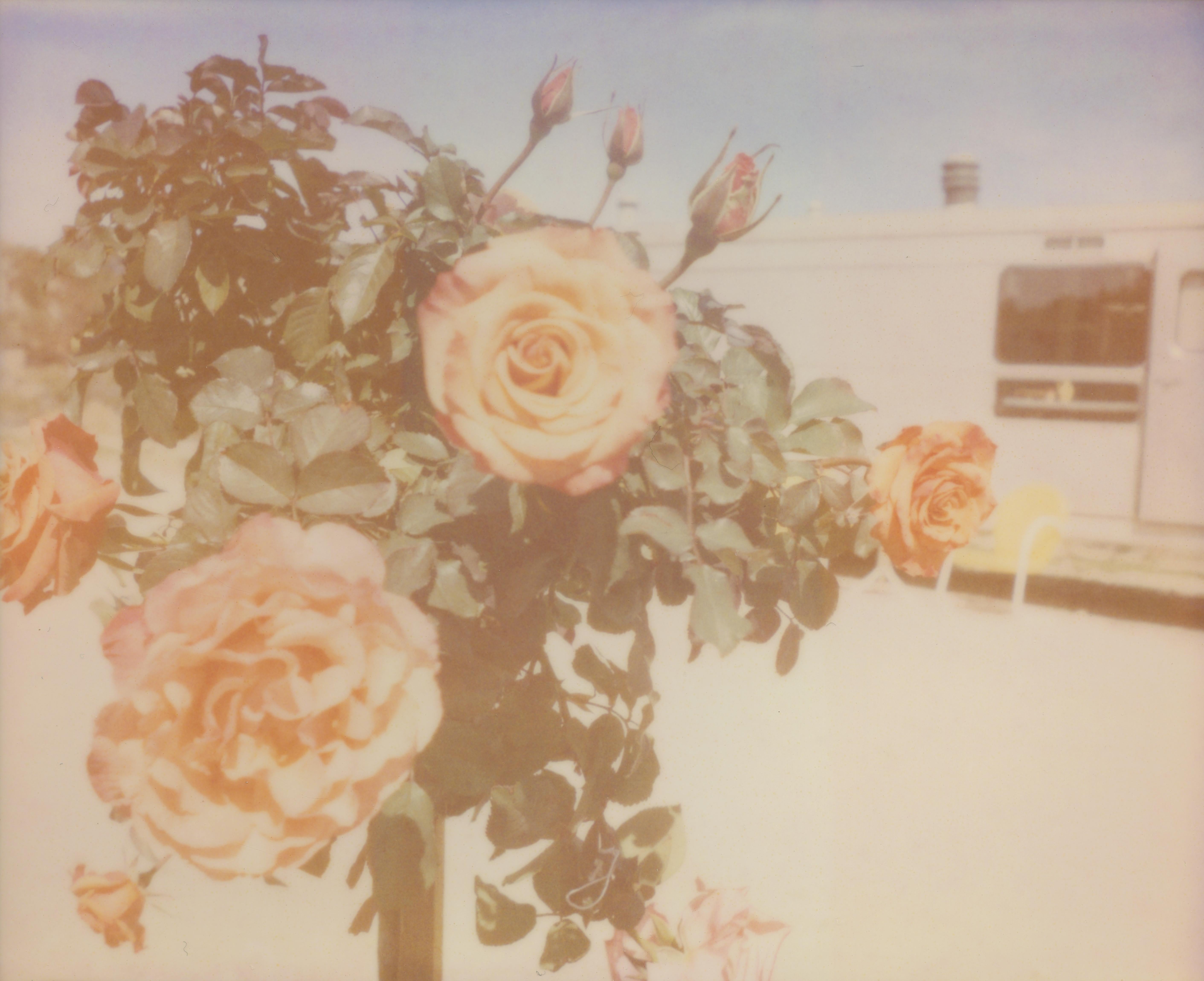 Stefanie Schneider Color Photograph - A sunny Morning II (The Girl behind the White Picket Fence_ - Polaroid