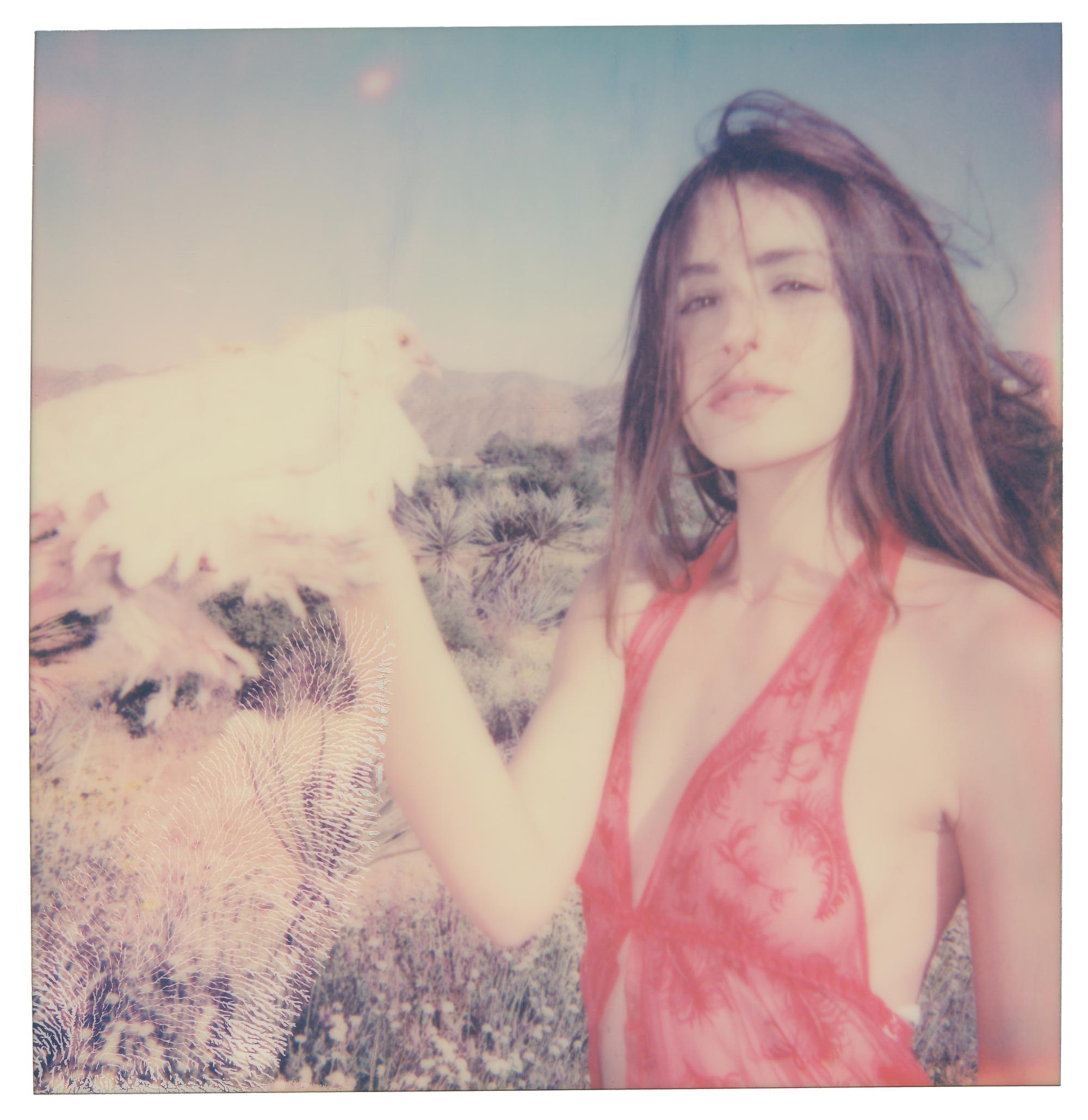 Stefanie Schneider Portrait Photograph - Abracadabra (Chicks and Chicks and Sometimes Cocks)