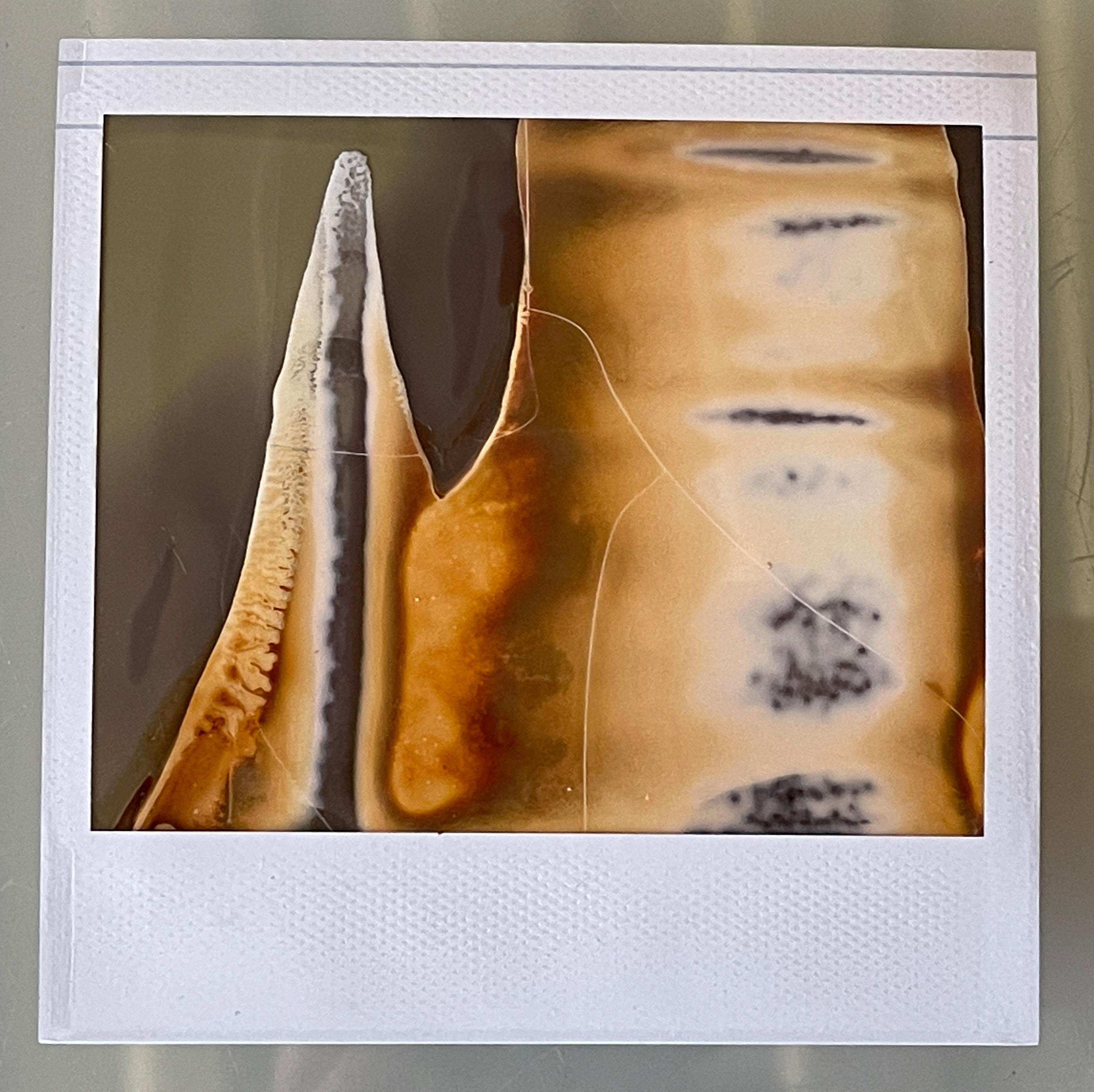 Stefanie Schneider Color Photograph – Abstrakt (Dekonstruivismus) – Einzigartiges Original Polaroid-Stück