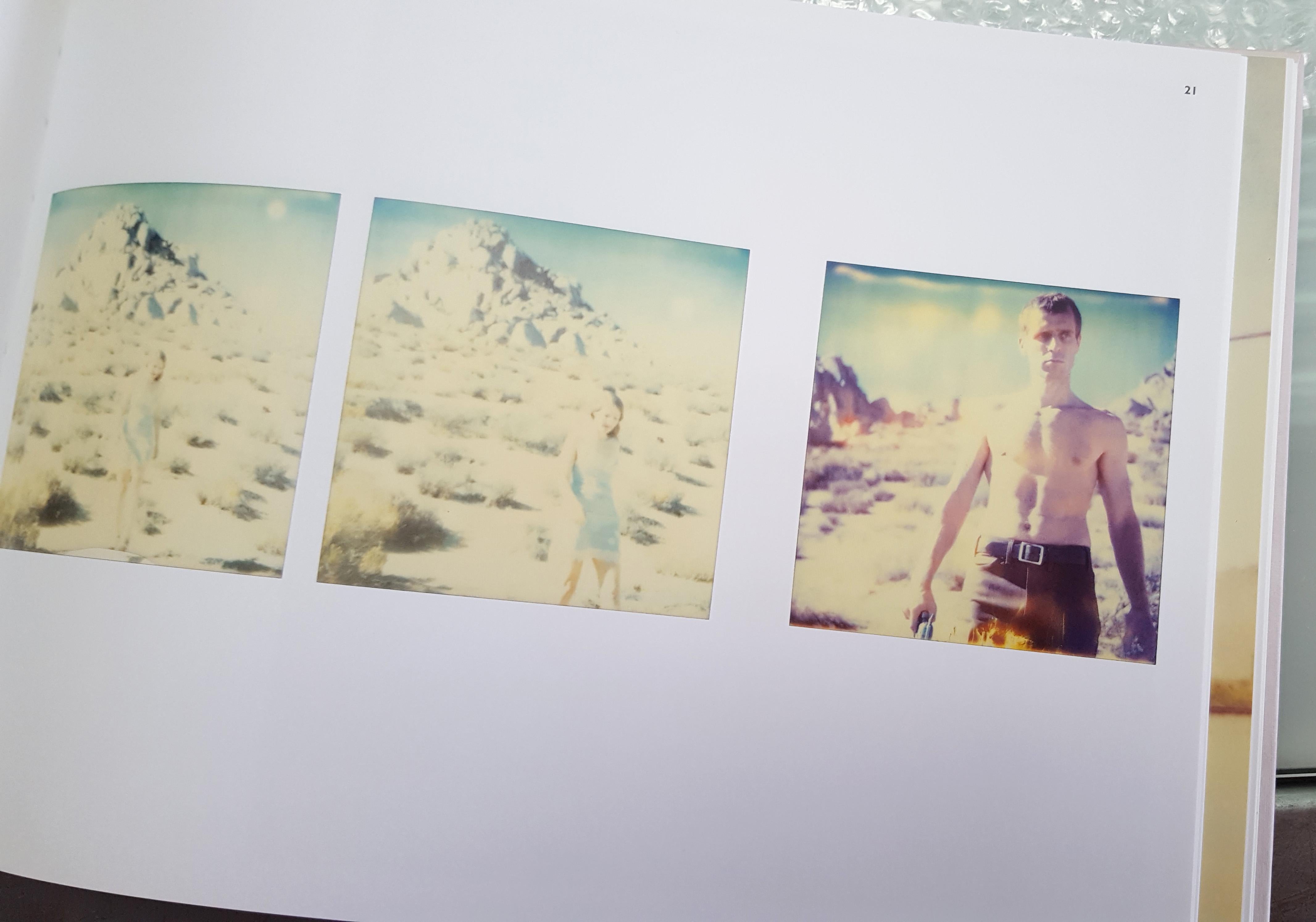 Aimless (Wastelands), triptych, analog, mounted - Polaroid, 21st Century, Color For Sale 8