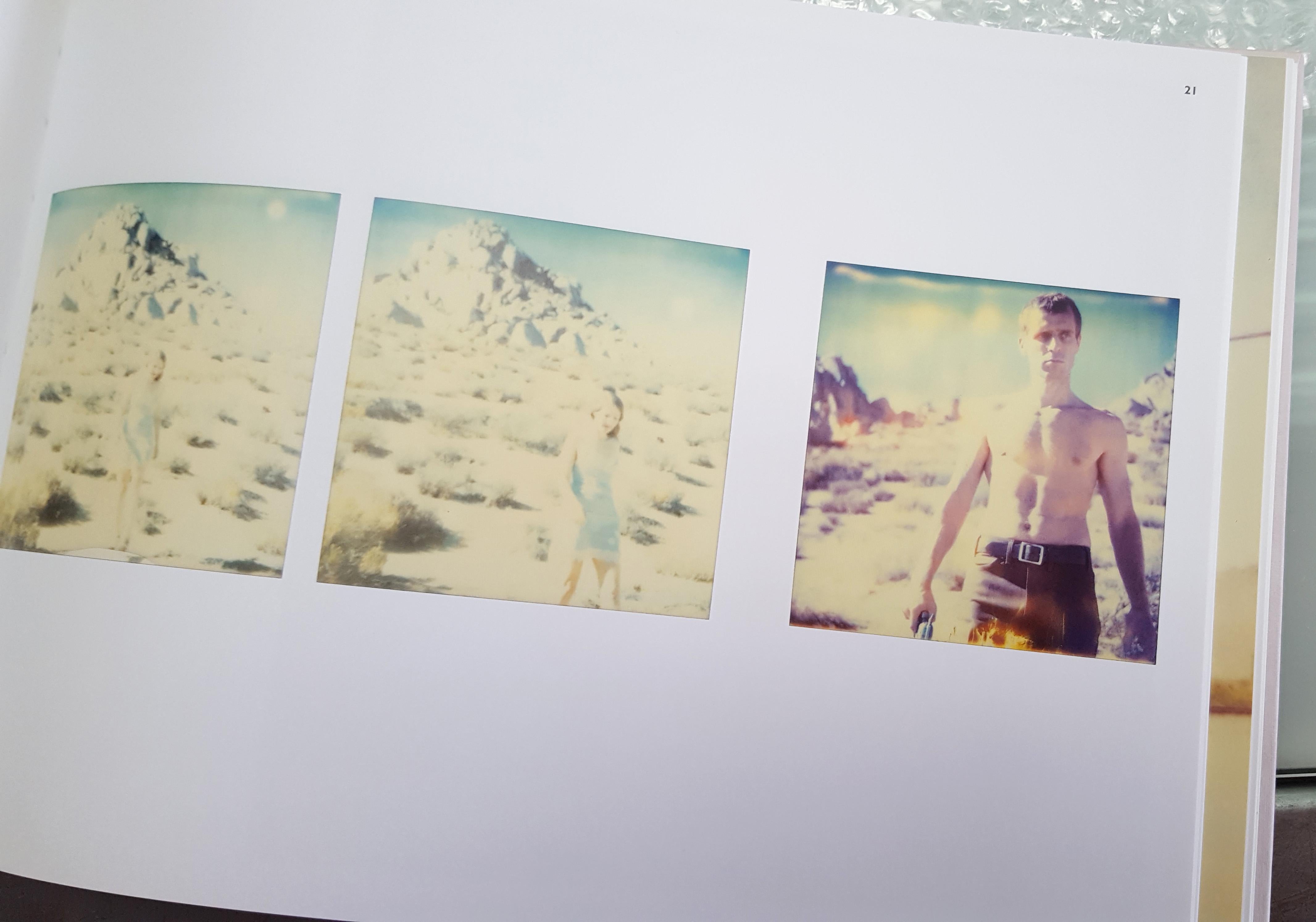 Aimless (Wastelands), tríptico, analógico, montado - Polaroid, Siglo XXI, Color en venta 7