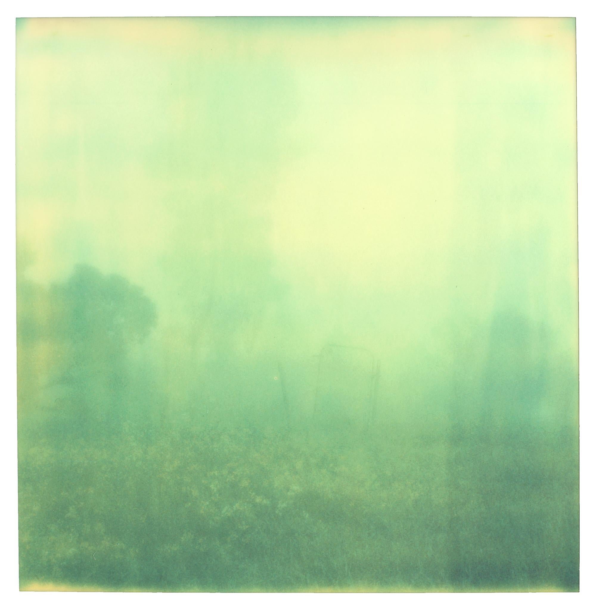 Alicia (Más extraño que el paraíso), analógico, 5 piezas - Color Photograph Verde de Stefanie Schneider