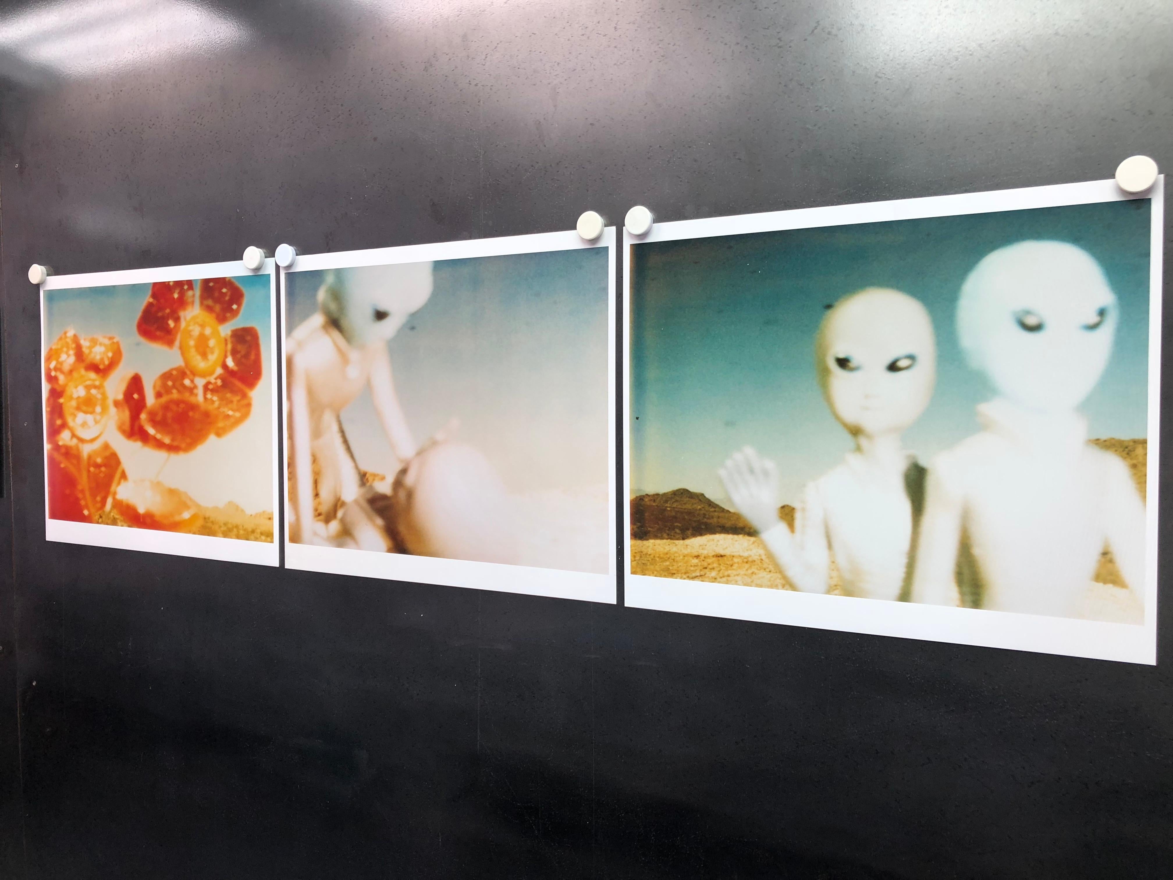 Aliens - triptych - 1998

Edition of 5, 
48x59cm each, 48x190 installed including the gaps.
3 analog C-Prints, hand-printed by the artist on Fuji Crystal Archive Paper, matte finish, based on 3 original Polaroids.  Certificate and signature label.