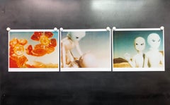 1990s Color Photography