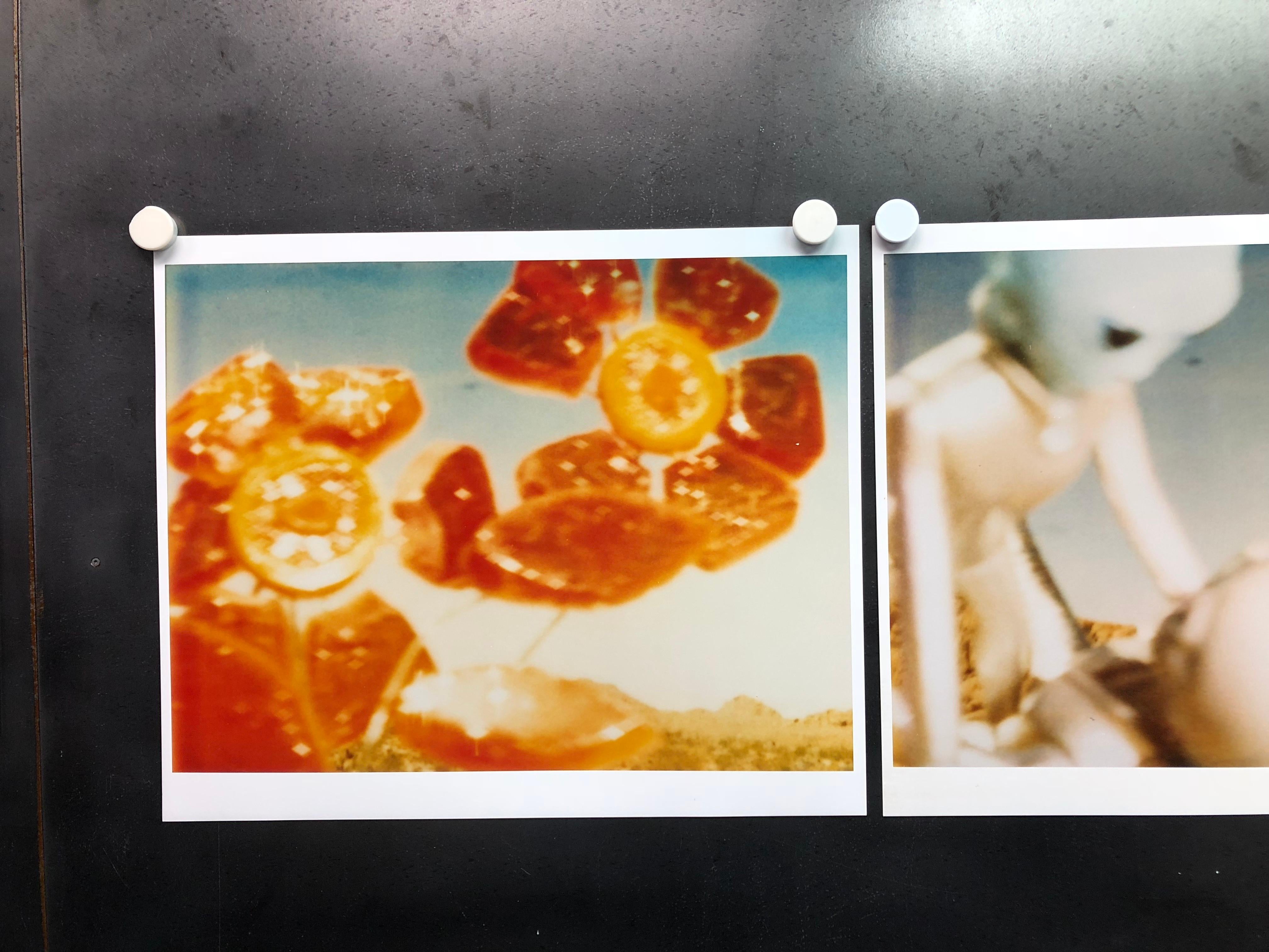 Aliens - triptych, analog hand-prints - Polaroid, Contemporary, Pop-Art, Color - Photograph by Stefanie Schneider