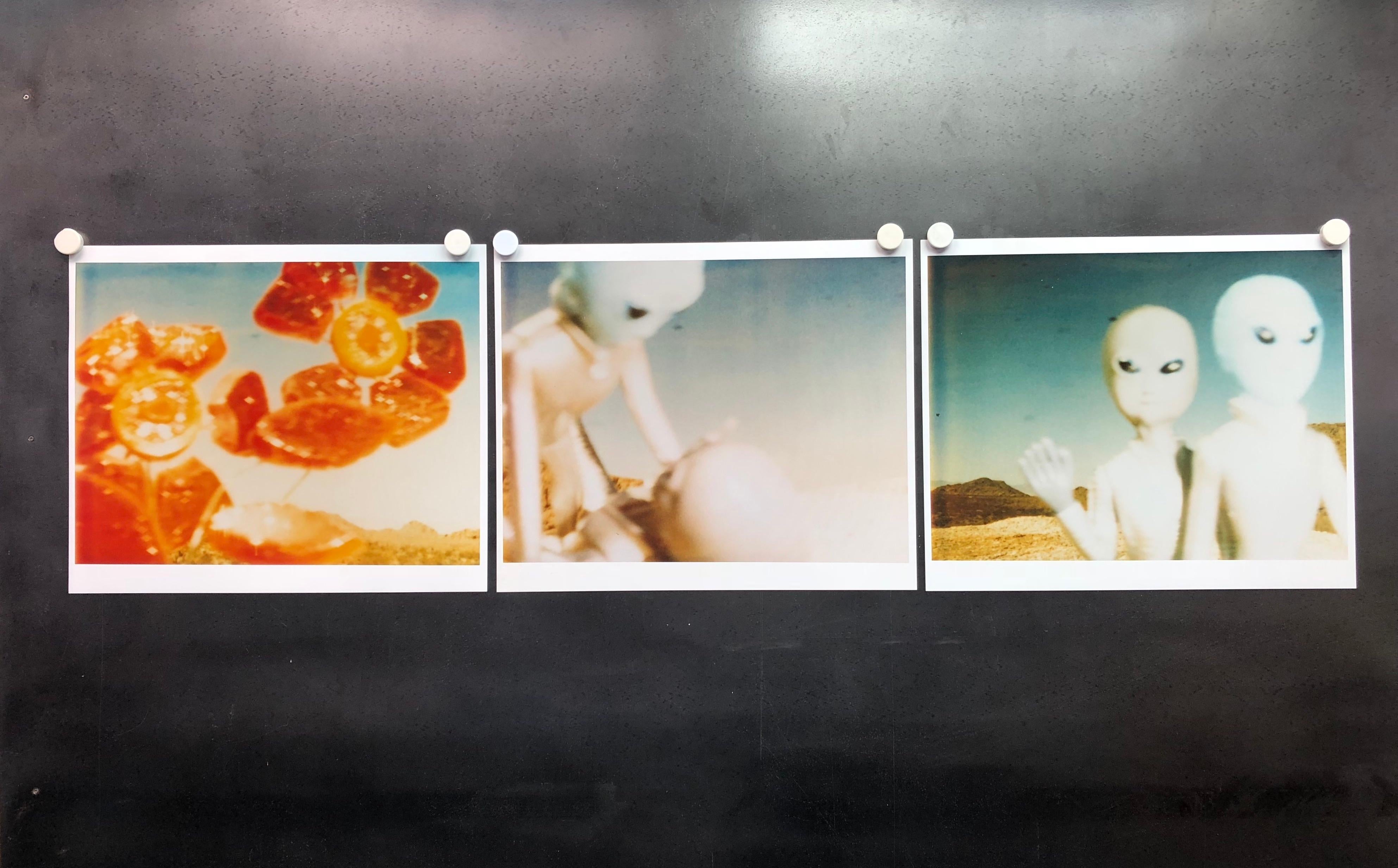 Stefanie Schneider Still-Life Photograph - Aliens - triptych, analog hand-prints - Polaroid, Contemporary, Pop-Art, Color