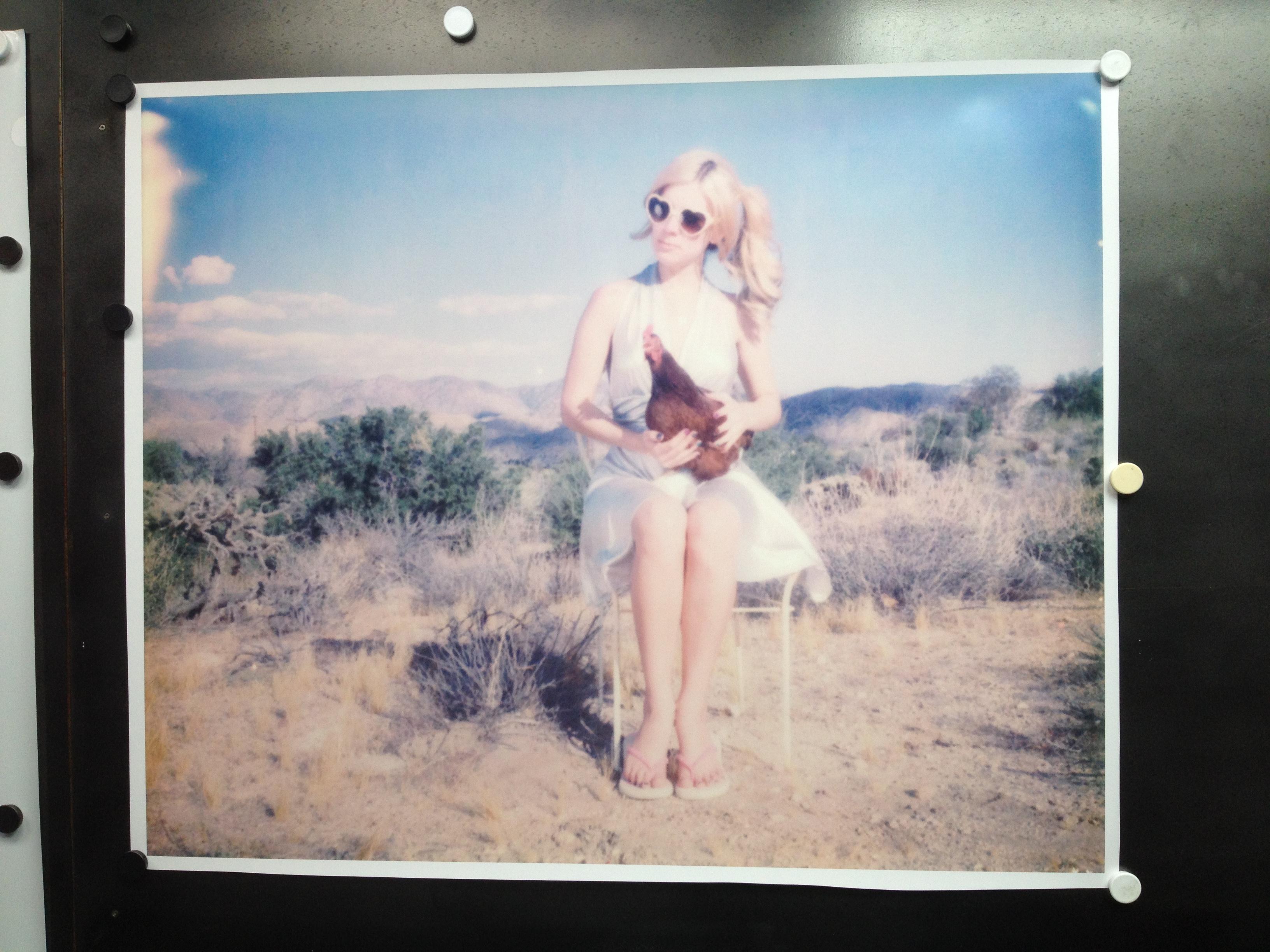 Ángel y Charlie Brown (Pollitos y Pollitas y a veces Gallos) - Polaroid - Photograph de Stefanie Schneider