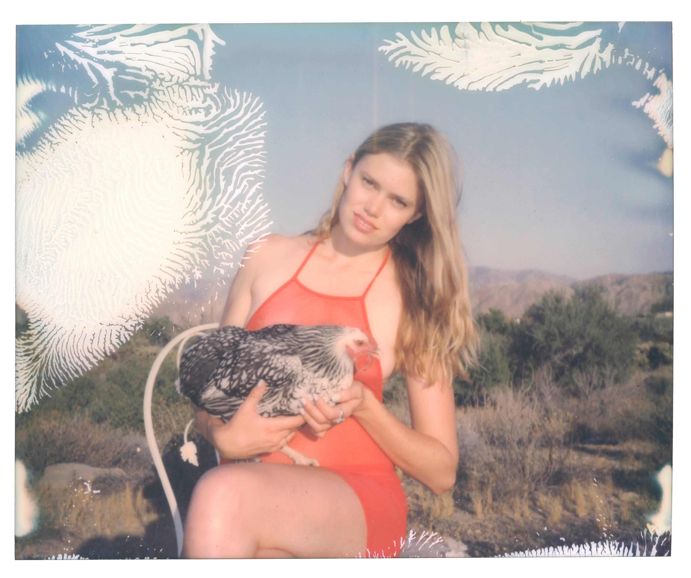 Stefanie Schneider Color Photograph - Aria and Midnight to Moonshine - Chicks and Chicks 