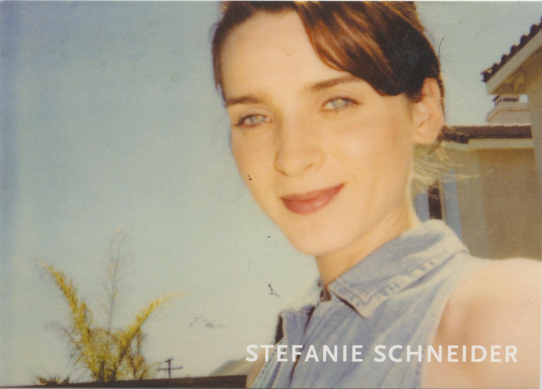 Fleurs artificielles - Contemporary, Landscape, Polaroid, expired, 21st Century en vente 3
