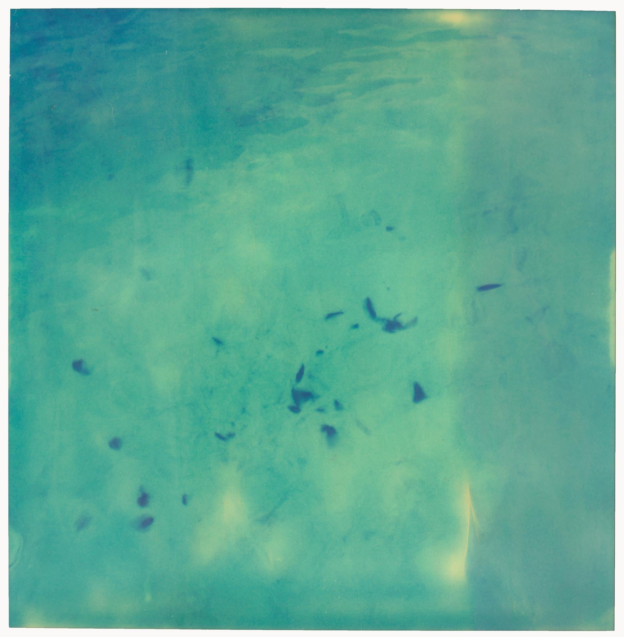 Landscape Photograph de Stefanie Schneider - Otoño a la deriva (The Last Picture Show) - Polaroid, analógica, paisaje