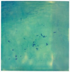 Autumn Drift (The Last Picture Show) - Polaroid, analog, landscape