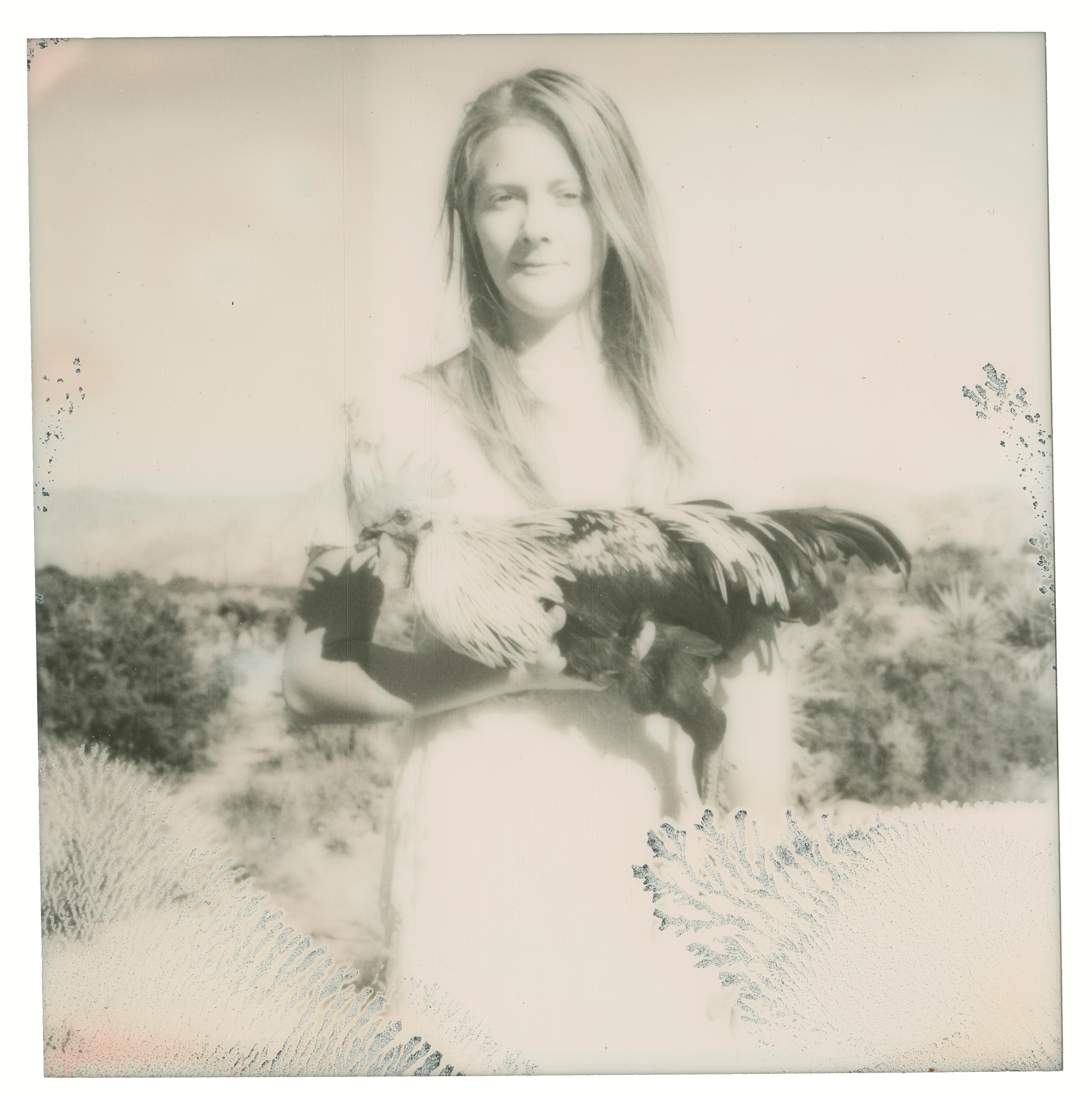 Stefanie Schneider Black and White Photograph – Balancing (Chicks and Chicks and sometimes Cocks) - Polaroid, Hühner, Farbe