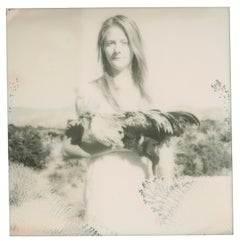Balancing (Chicks and Chicks and sometimes Cocks) - Polaroid, Chicken, Color