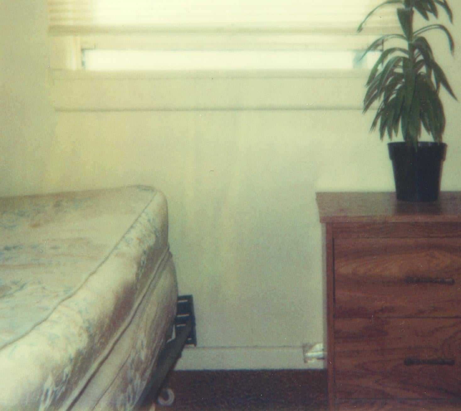 Bedroom Plant (29 Palms, CA) - Polaroid, Contemporary - Contemporain Photograph par Stefanie Schneider