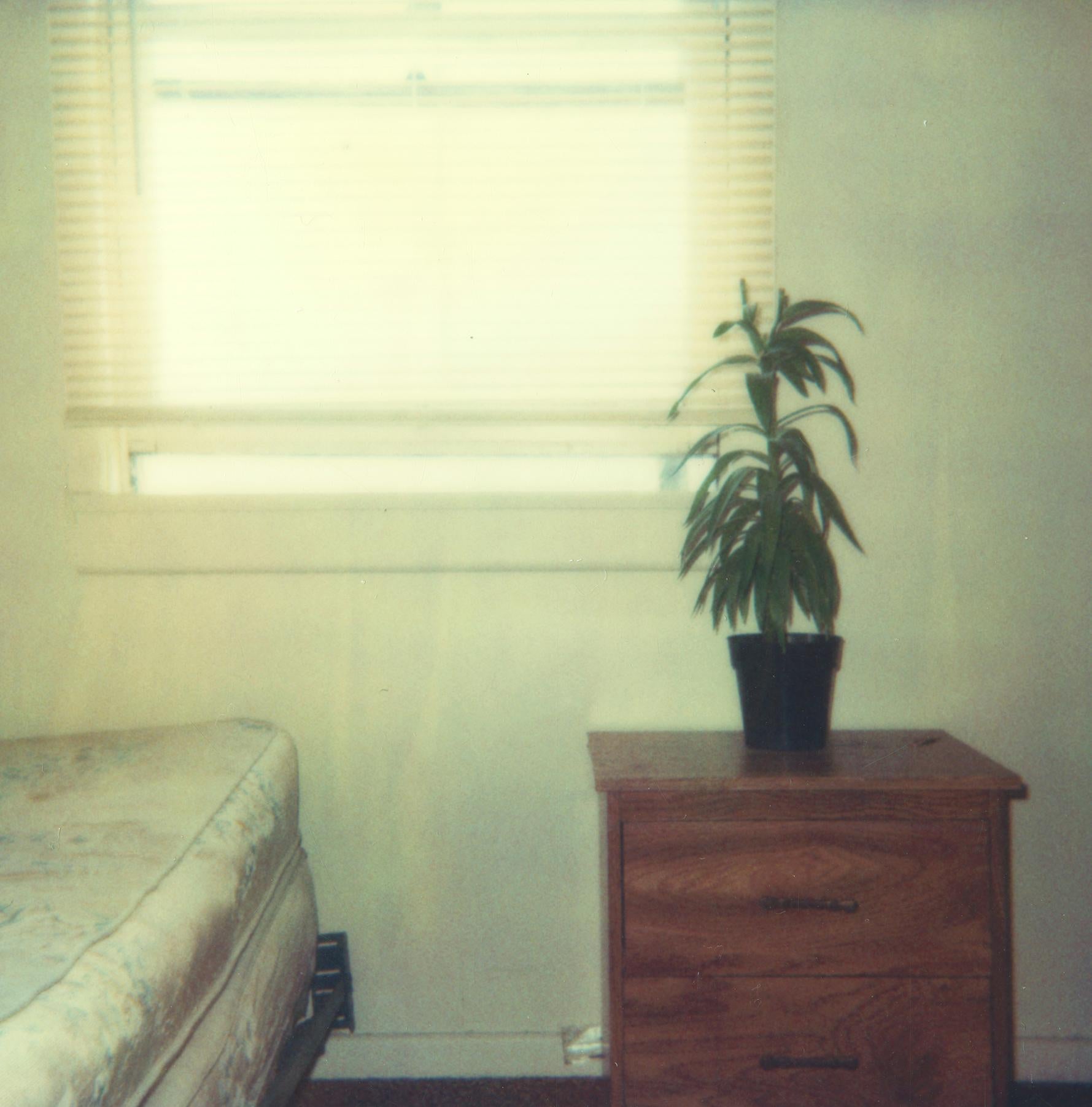 Planta Dormitorio (29 Palms, CA) - 1999

58x56cm, 
Edición de 10, más 2 Pruebas de Artista. 
C-Print analógico, impreso a mano por el artista, basado en la Polaroid. 
Etiqueta de firma y certificado.  
Número de inventario del artista: 602. 
No está