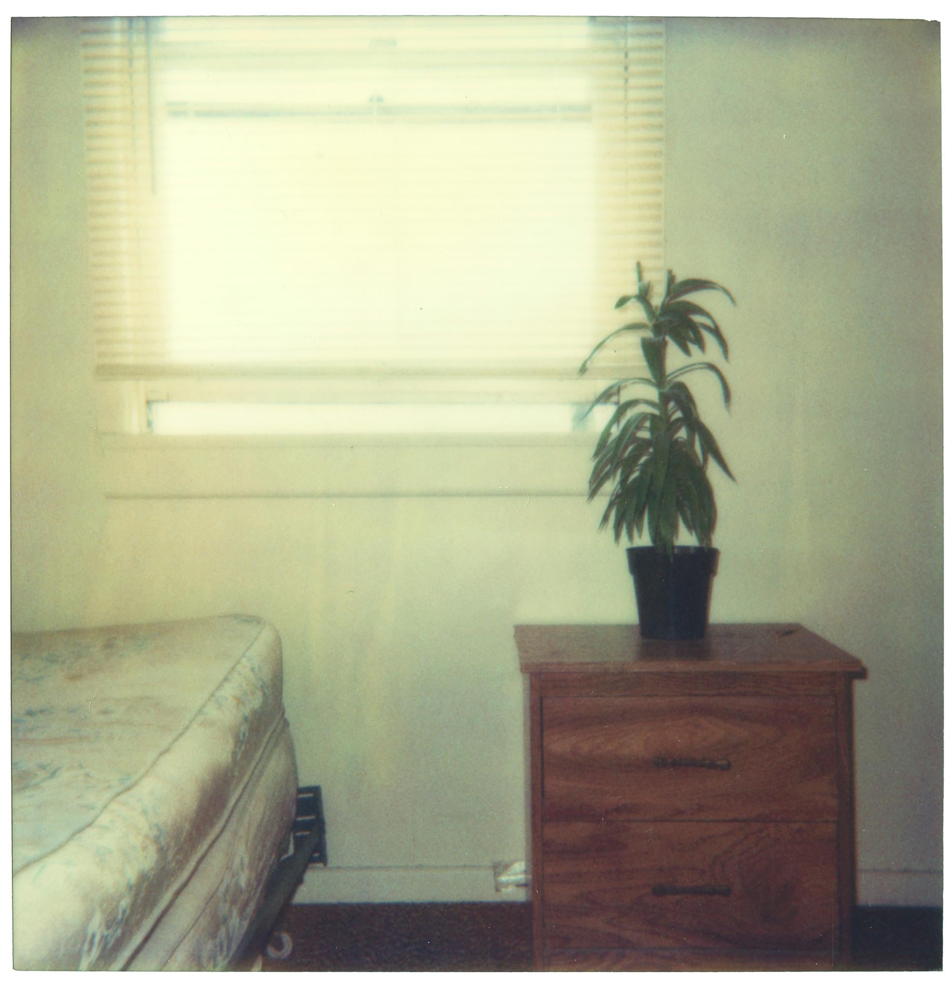 Stefanie Schneider Color Photograph - Bedroom Plant (29 Palms, CA) - Polaroid, Contemporary