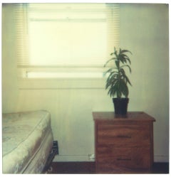 Vintage Bedroom Plant (29 Palms, CA) - Polaroid, Contemporary