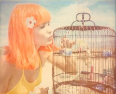 Beloved (Stage of Consciousness) - einschließlich des Buches „A Half Forgotten Dream“