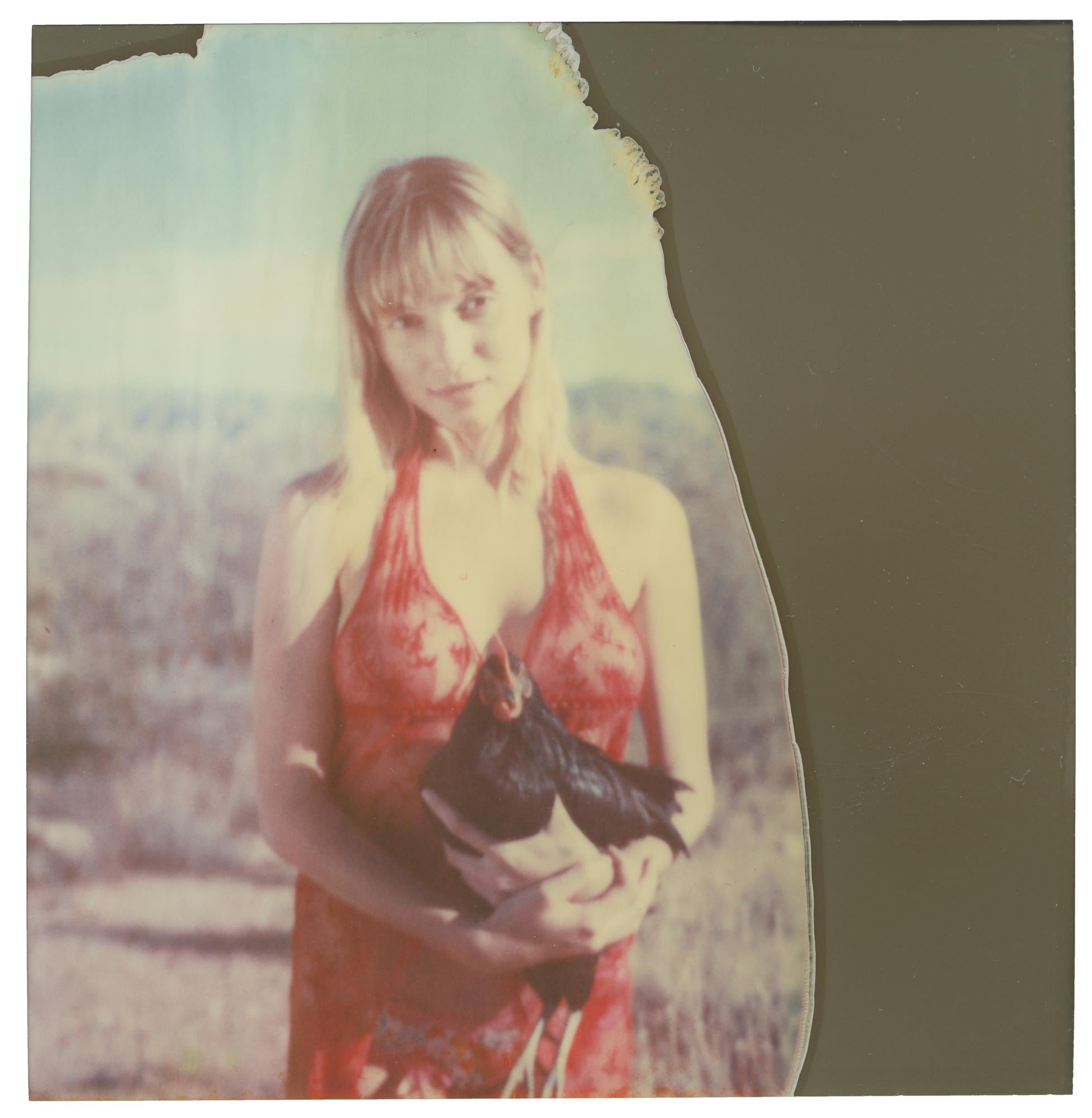 Portrait Photograph de Stefanie Schneider - Pájaro Negro (Pollitos y Pollitas y a veces Gallos)
