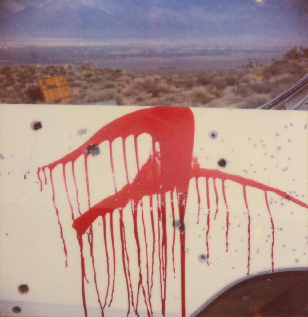 Stefanie Schneider Color Photograph - Blooded (Wastelands) - Contemporary, Analog, Polaroid, Color