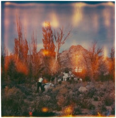 Day (Wastelands)