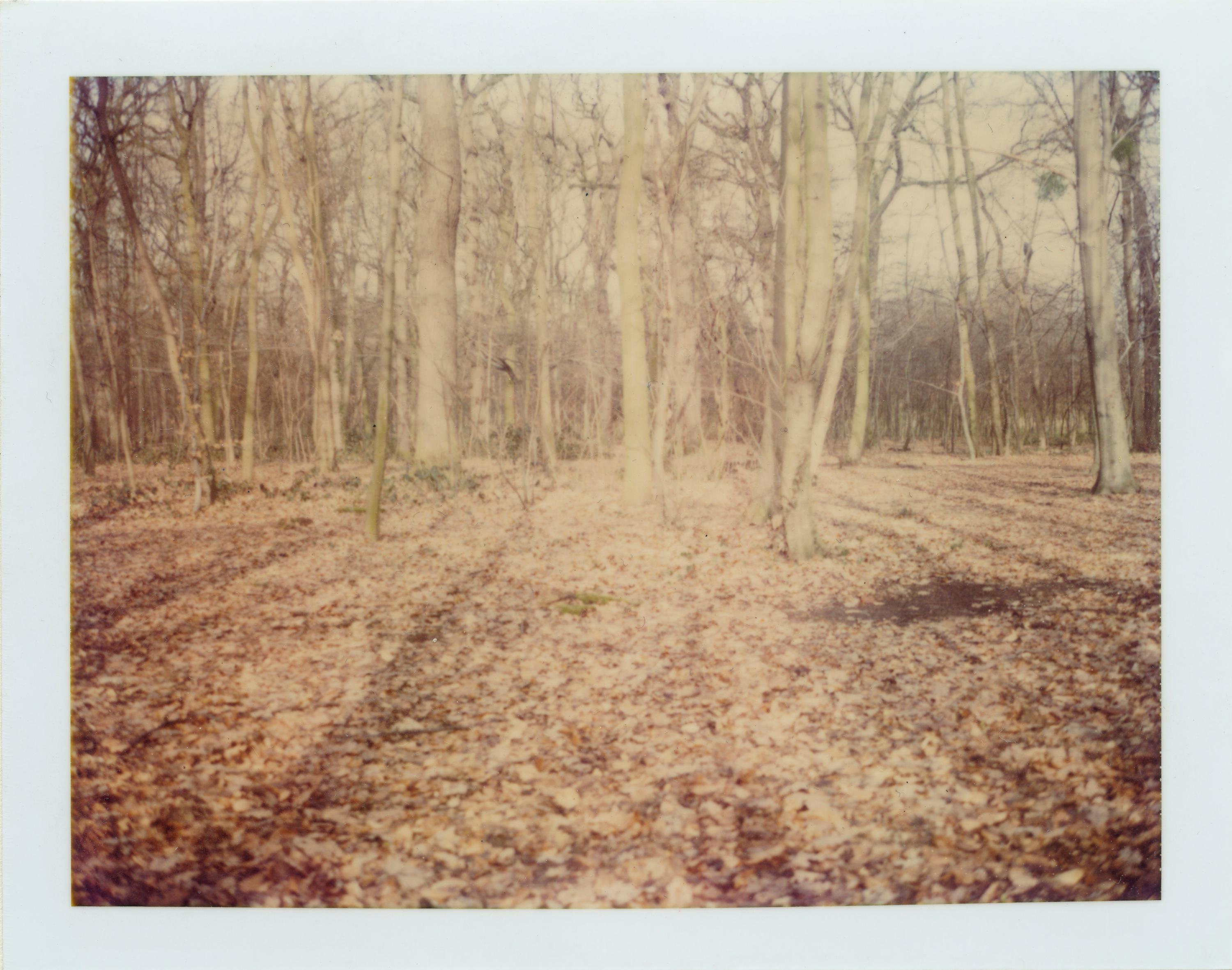 Stefanie Schneider Landscape Photograph - Bois de Bologne (Paris) - analog, Contemporary