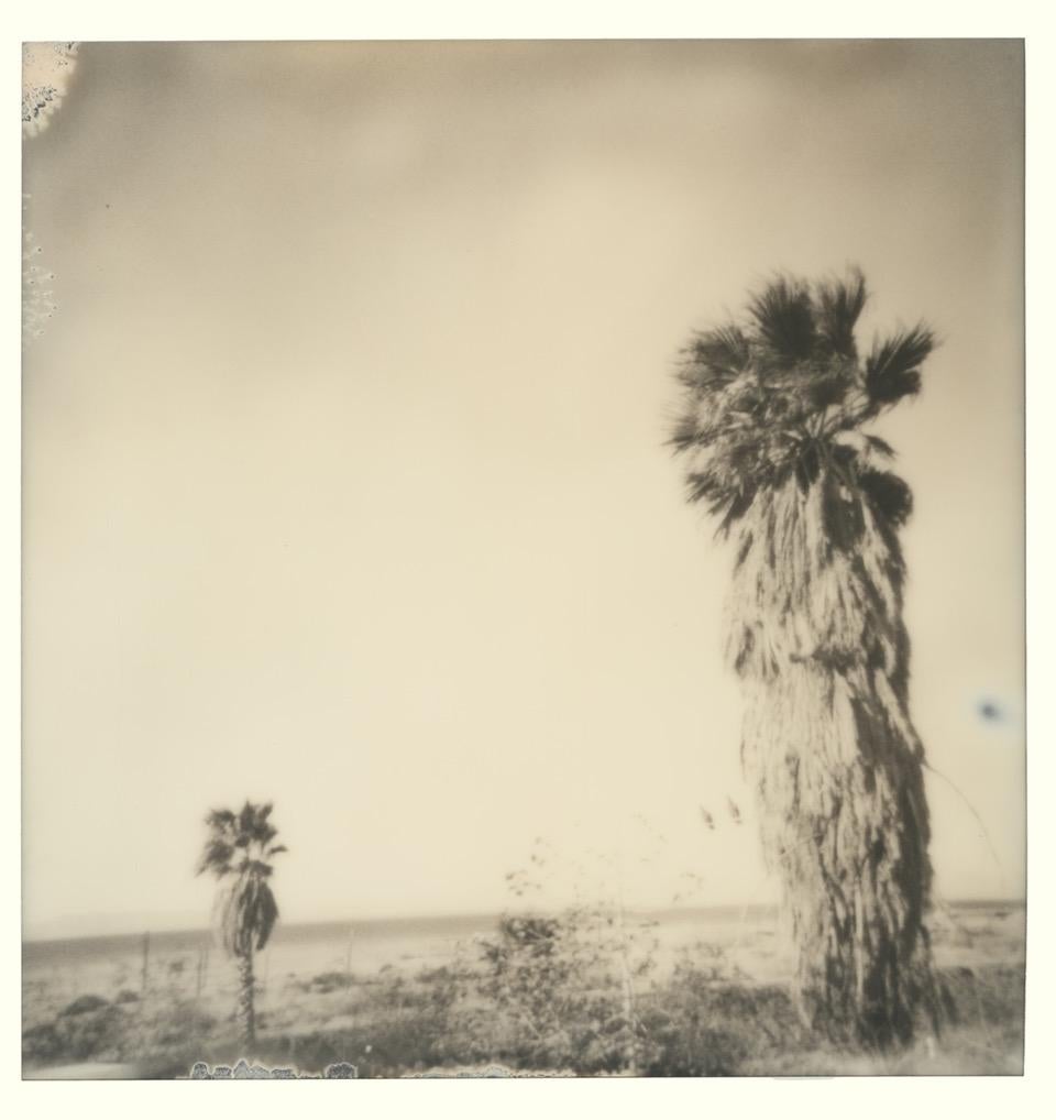 Black and White Photograph Stefanie Schneider - Palmiers de Bombay (California Badlands) - Plage de Bombay - Polaroid, Contemporary