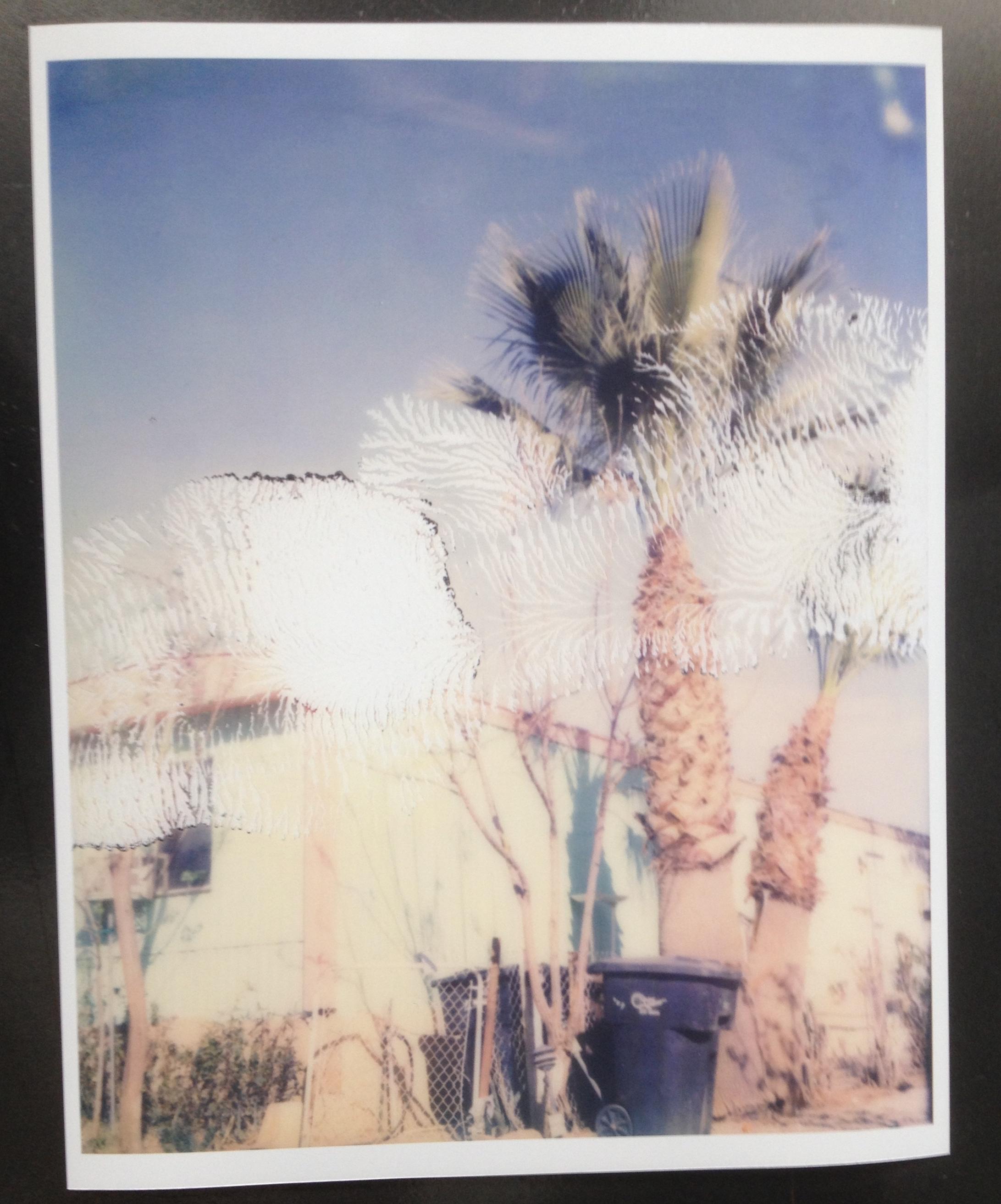 Borrego Springs (California Badlands) - Polaroid, 21st Century, Contemporary - Photograph by Stefanie Schneider
