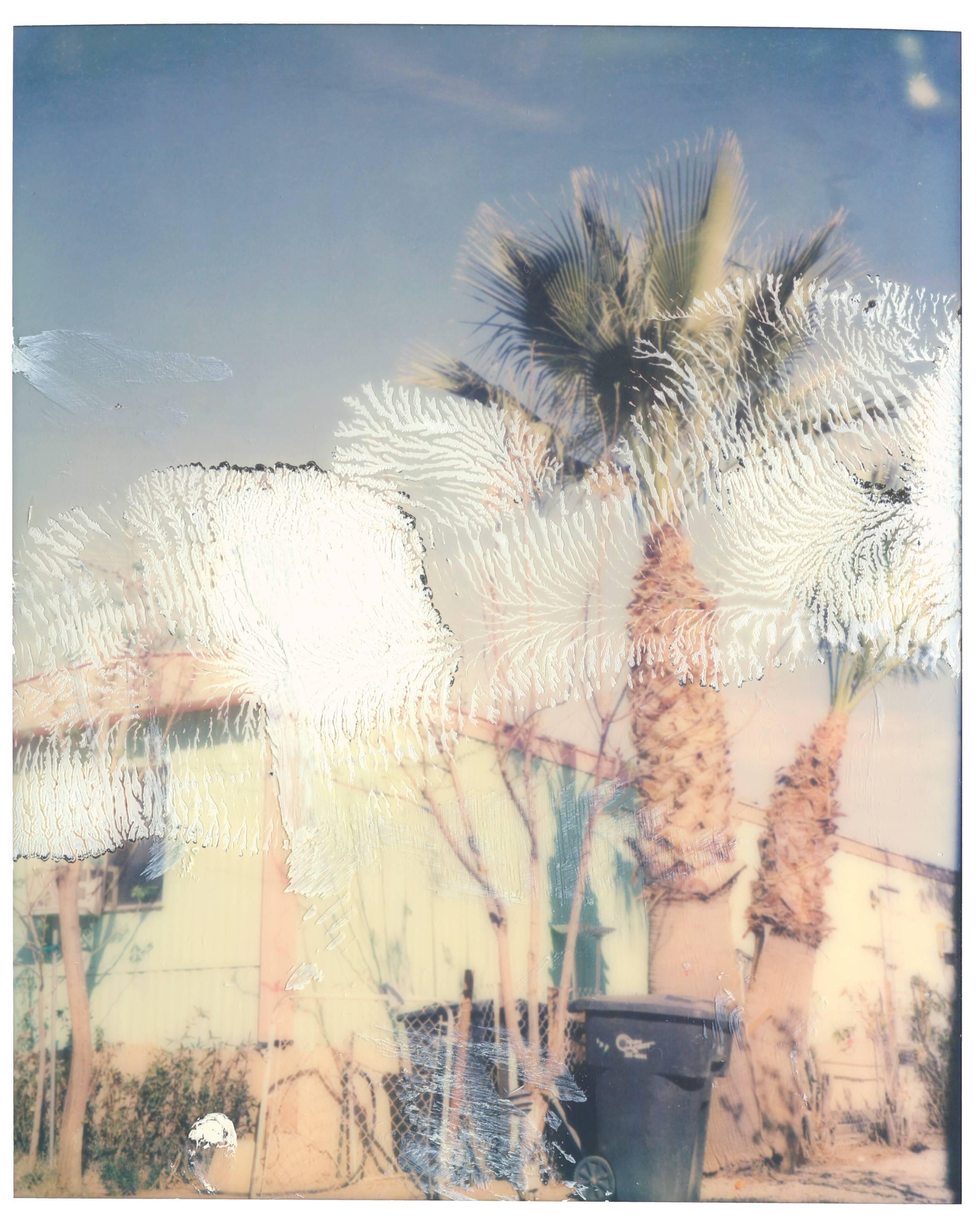 Landscape Photograph Stefanie Schneider - Borrego Springs (Californie Badlands) - Polaroid, XXIe siècle, contemporain