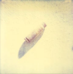 Brass Shell (Wastelands) - Contemporary, Analog, Polaroid, Farbe