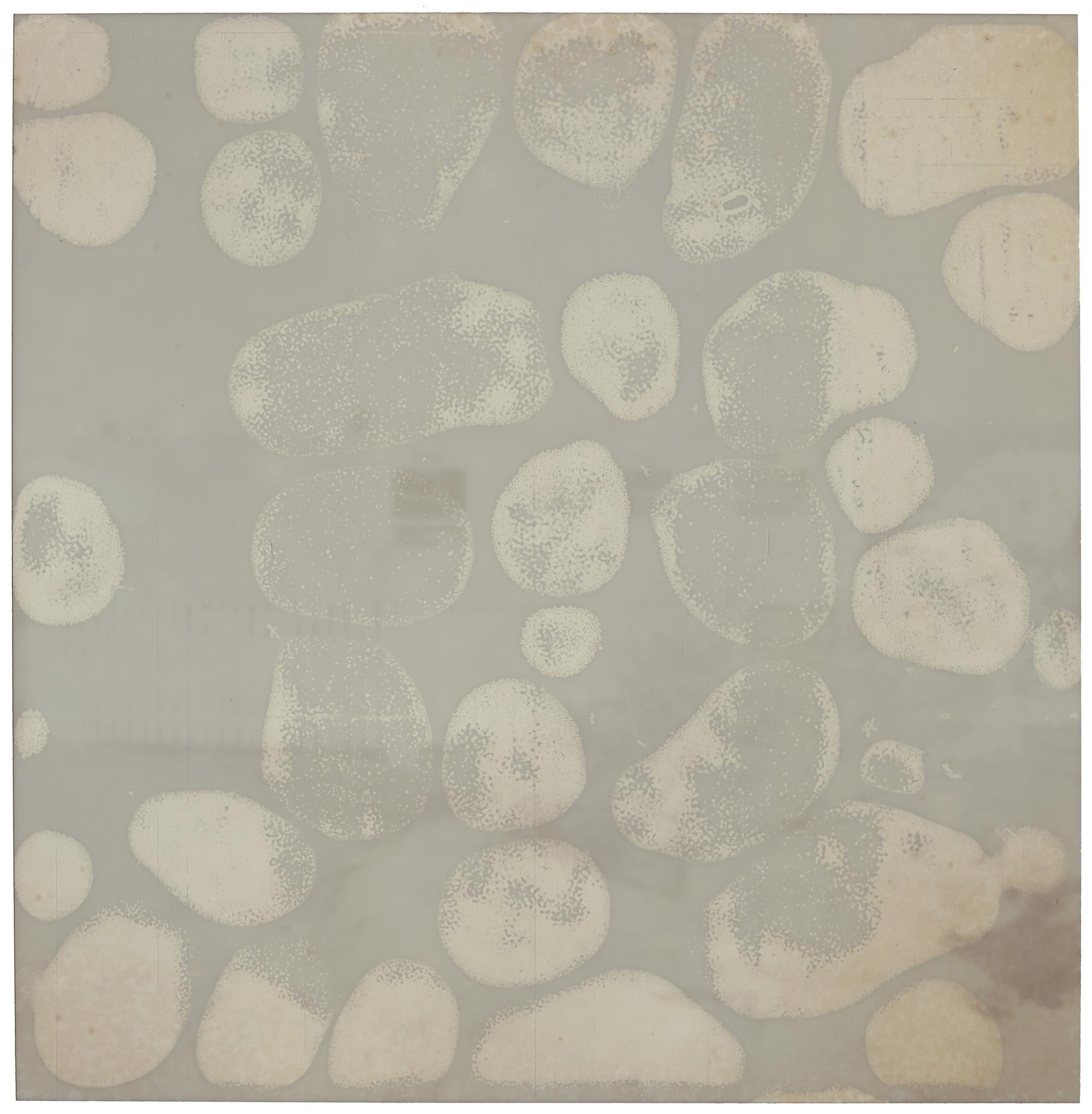 Breathing I (Deconstructivism) - Contemporary, Abgelaufenes Polaroid
