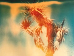 Buried - Contemporary, Landschaft, Figurativ, abgelaufen, Polaroid, analog