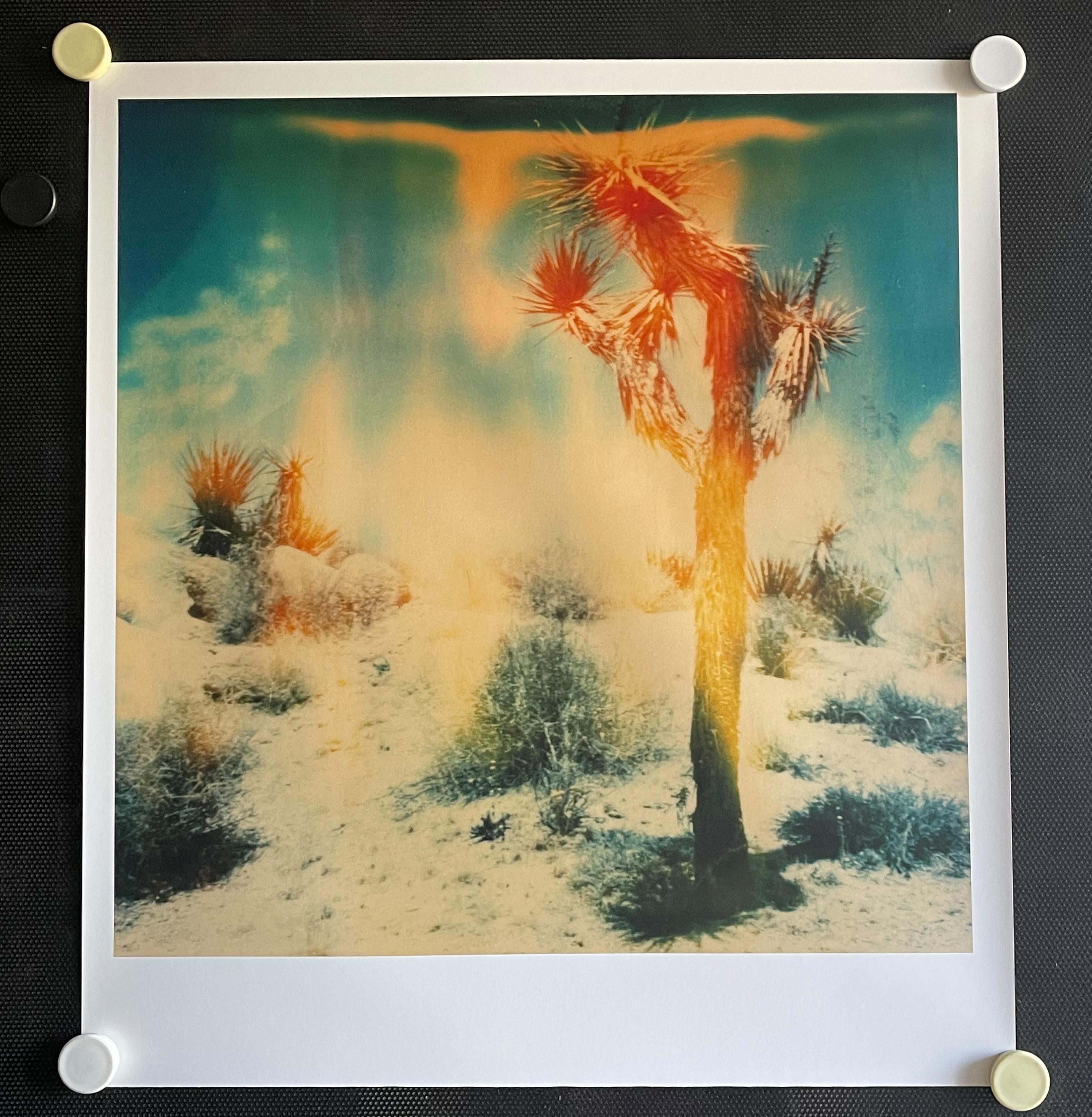 Stefanie Schneider Color Photograph - Buried - Contemporary, Landscape, Figurative, expired, Polaroid, analog