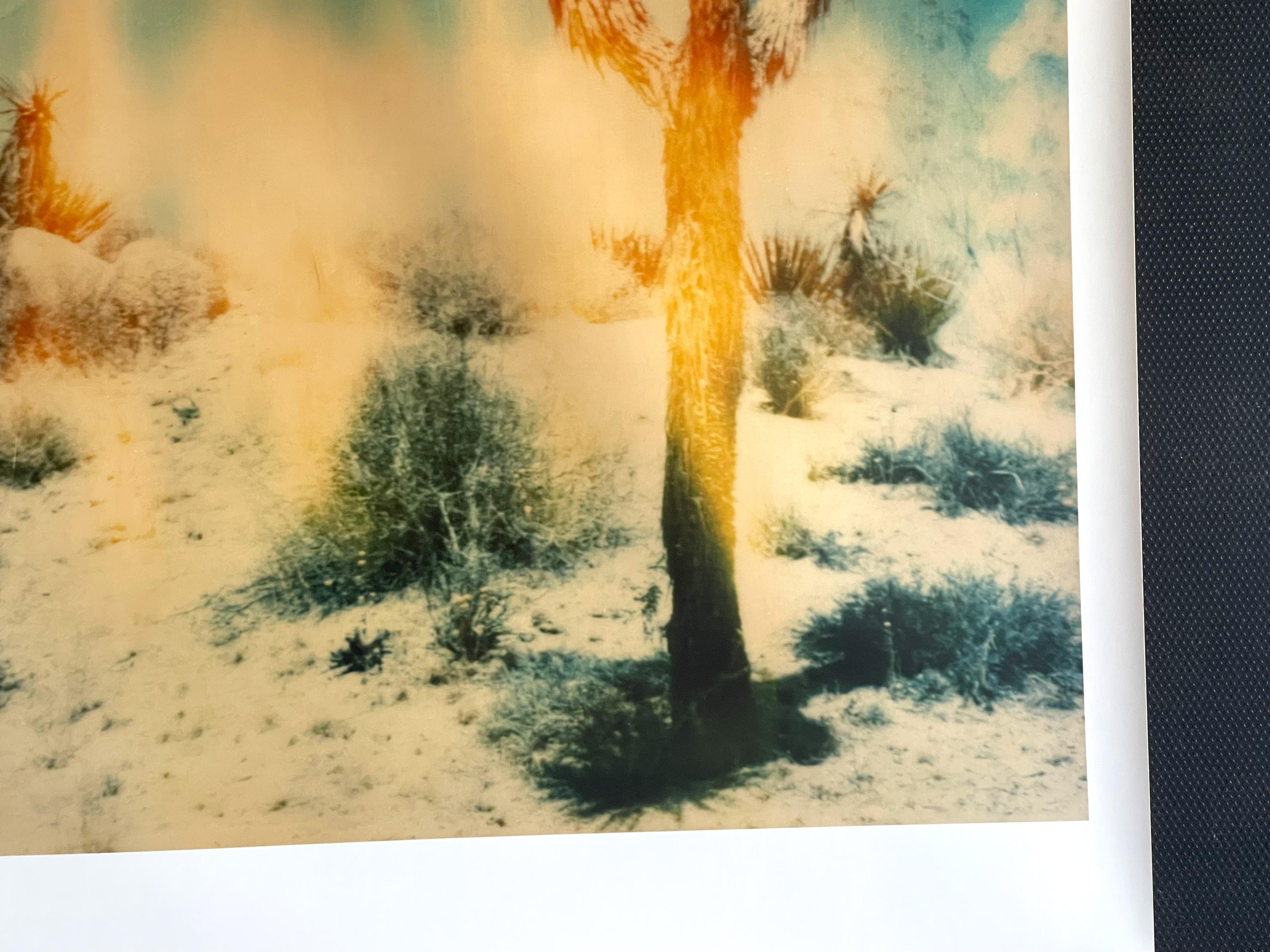 Buried - Contemporary, Landscape, Figurative, expired, Polaroid, analog For Sale 3
