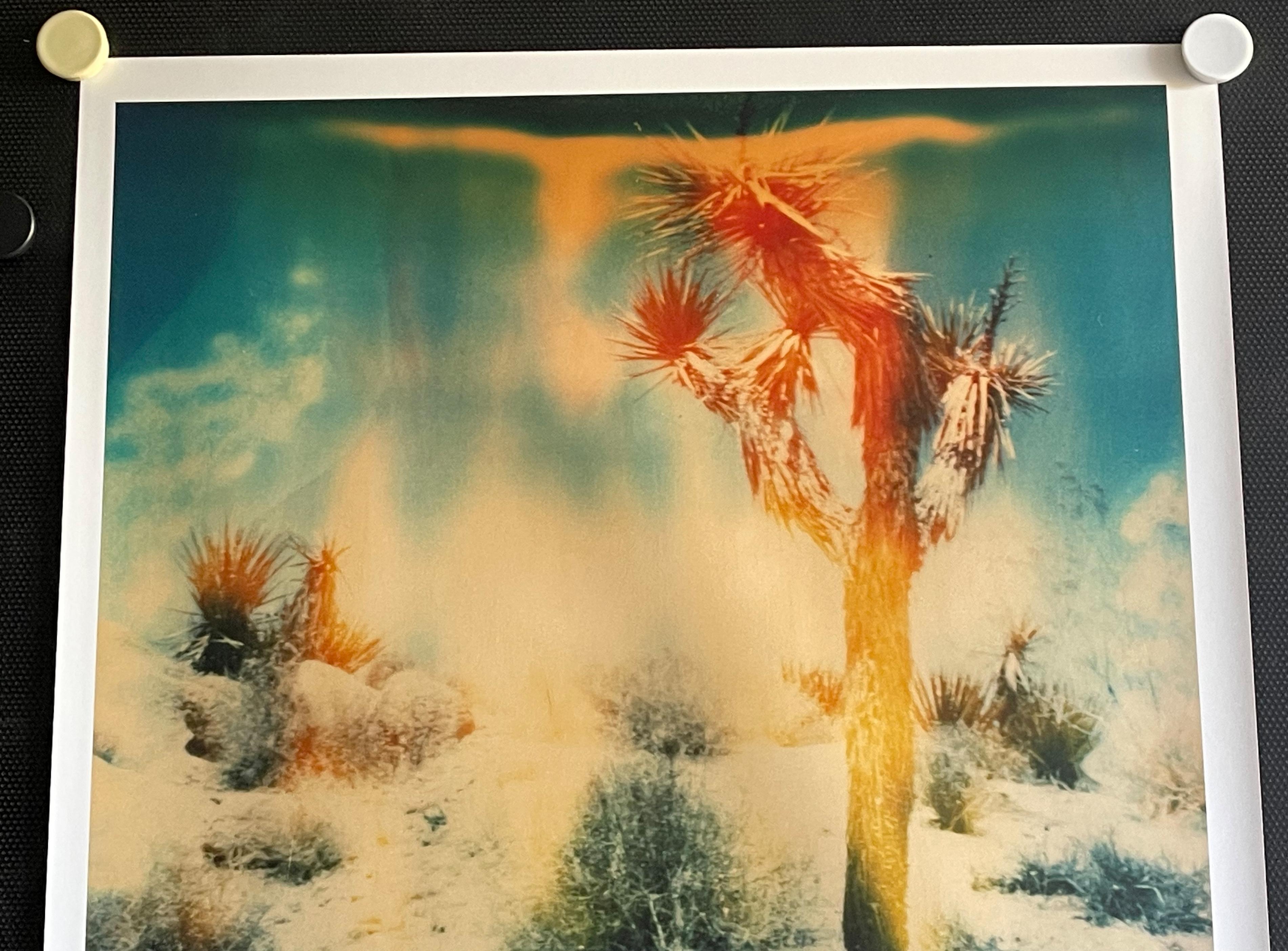 Buried (Stranger than Paradise) - 1999

Edizione di 10 esemplari, 
58x56cm, 
Stampa analogica a C, stampata a mano dall'artista su carta Fuji Crystal Archive, basata sulla Polaroid. 
Numero d'inventario dell'artista 640. 
Etichetta di firma e