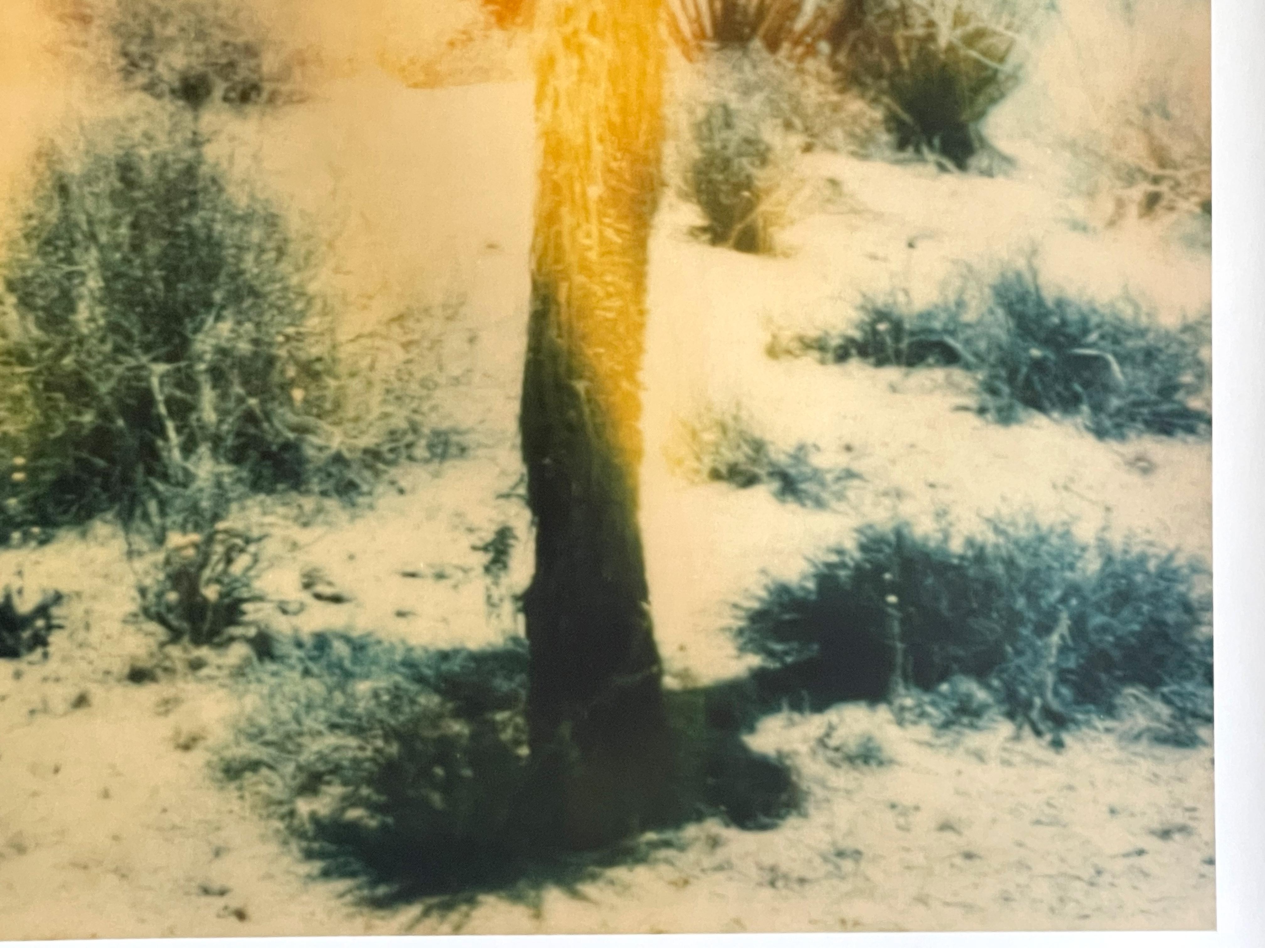 Buried - Contemporary, Landscape, Figurative, expired, Polaroid, analog For Sale 2