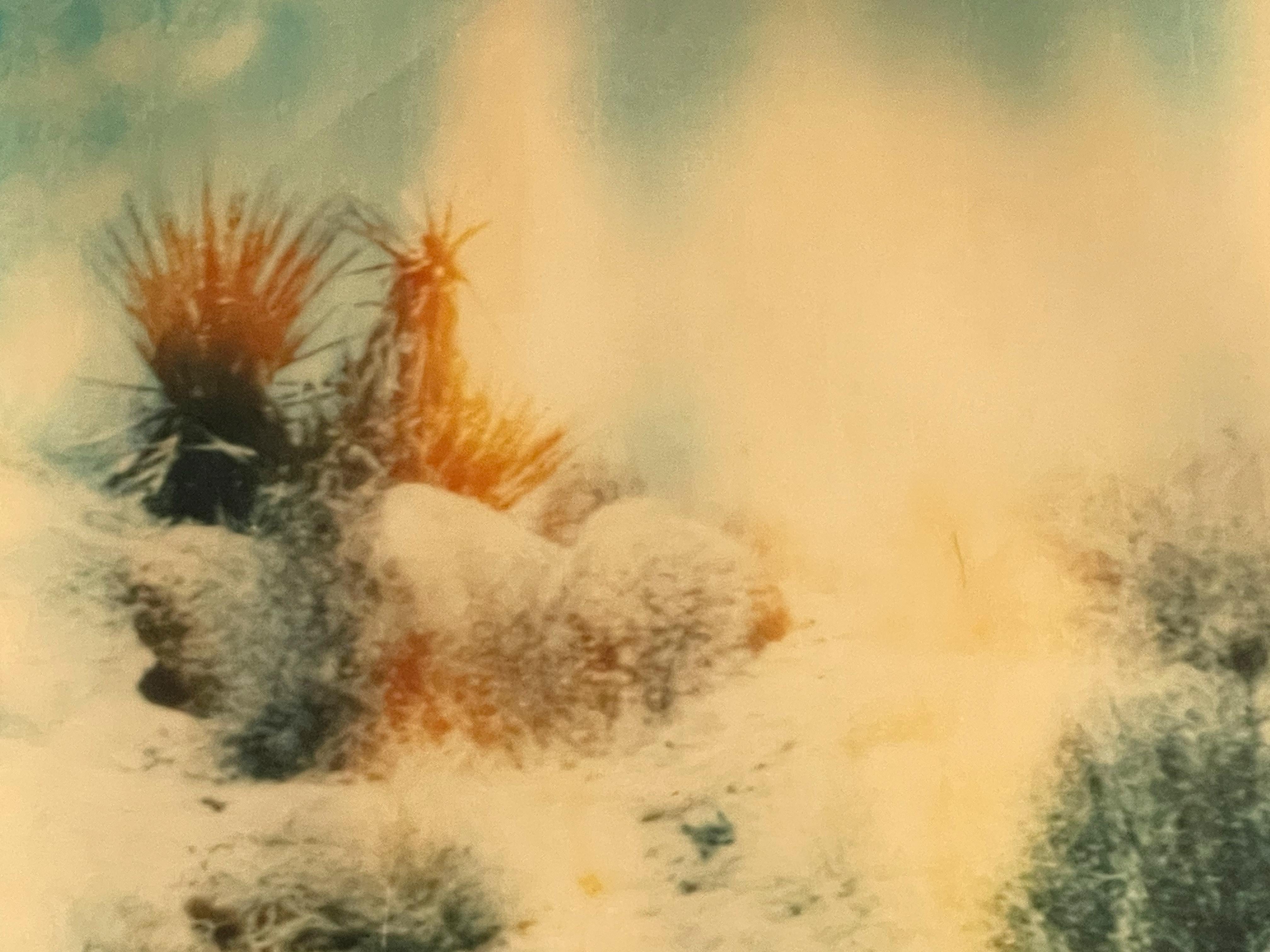 Buried - Contemporary, Landscape, Figurative, expired, Polaroid, analog For Sale 4