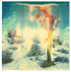 Buried - Contemporary, Landschaft, Figurativ, abgelaufen, Polaroid, analog