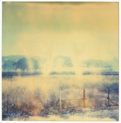 Burning Field V (The Last Picture Show) - Polaroid, Contemporary