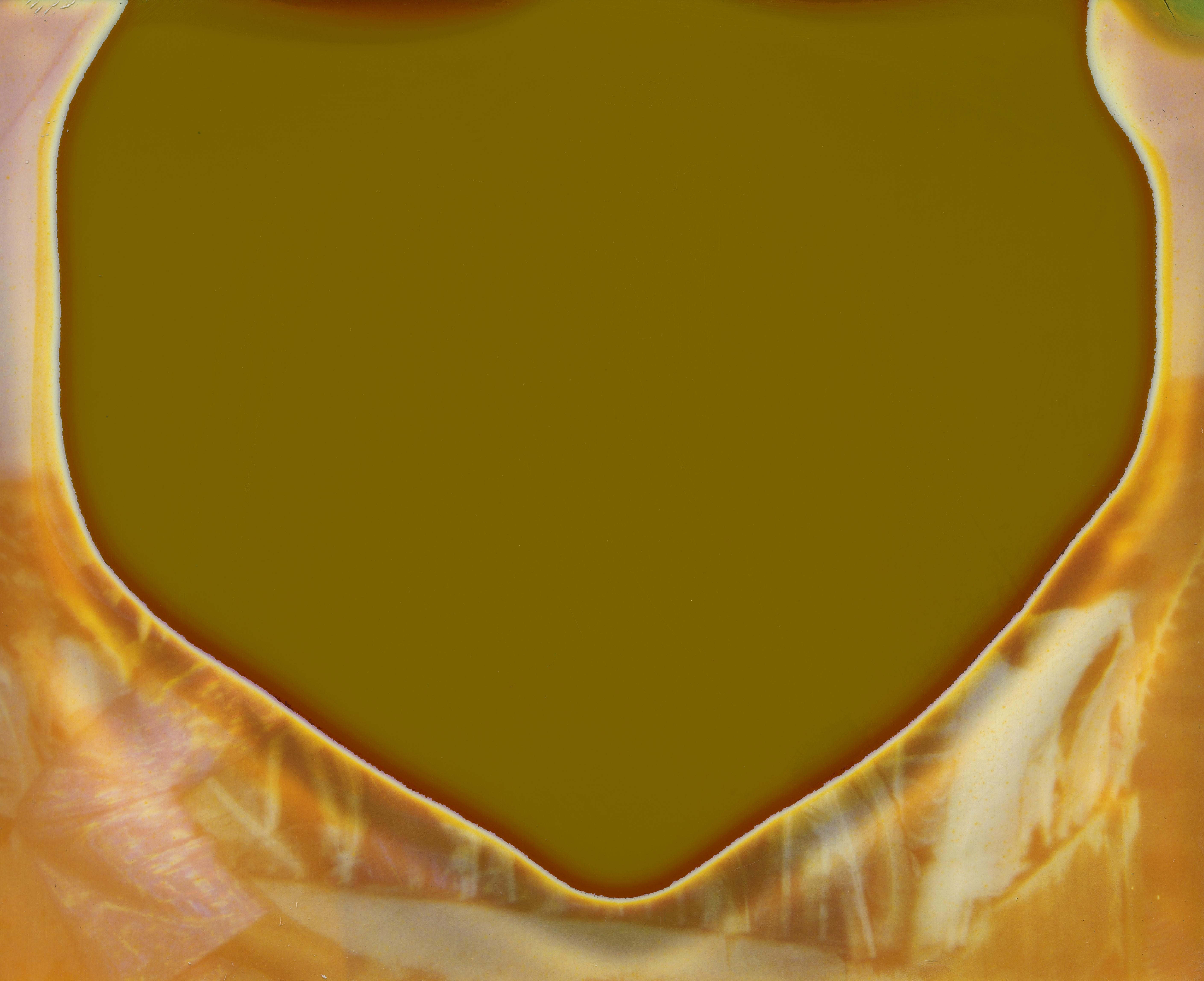 Stefanie Schneider Color Photograph – Ausbreitung (Stage of Consciousness)
